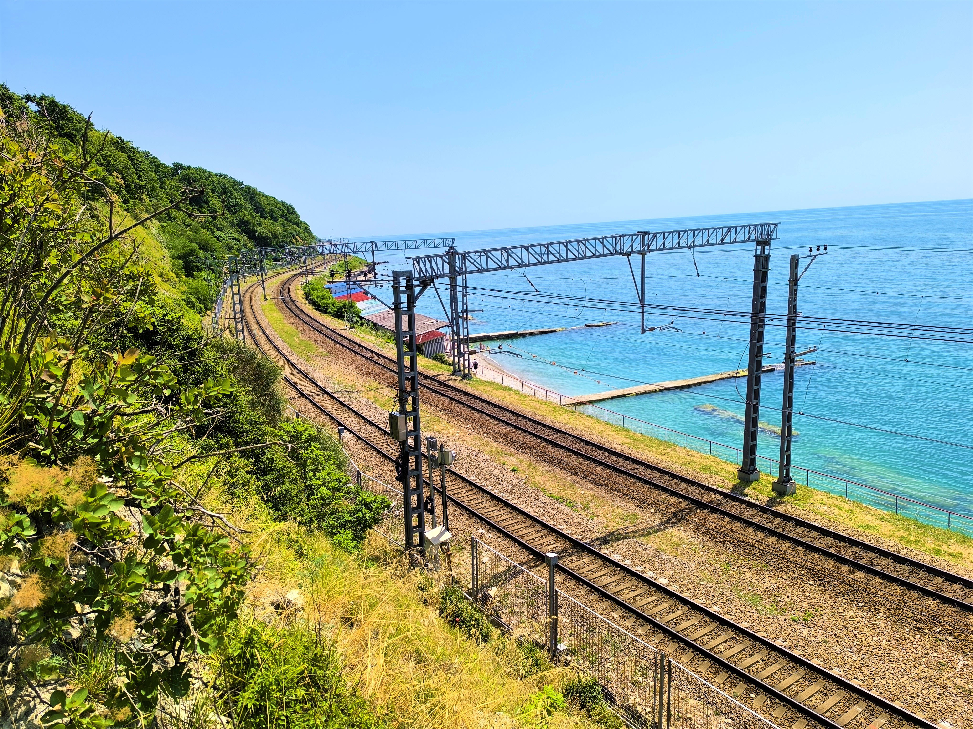 Фото У Кедра