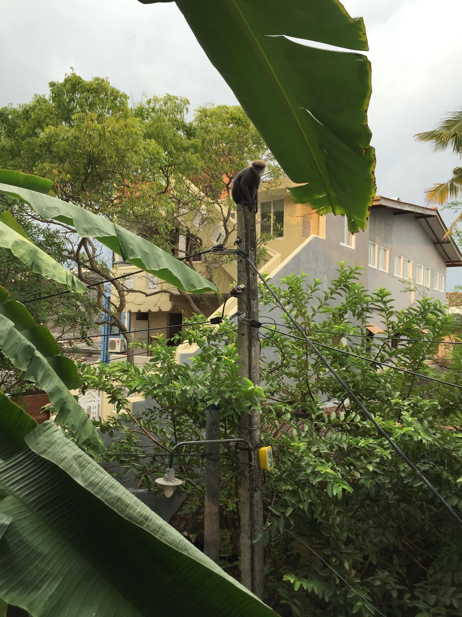 Фото Fort Heaven