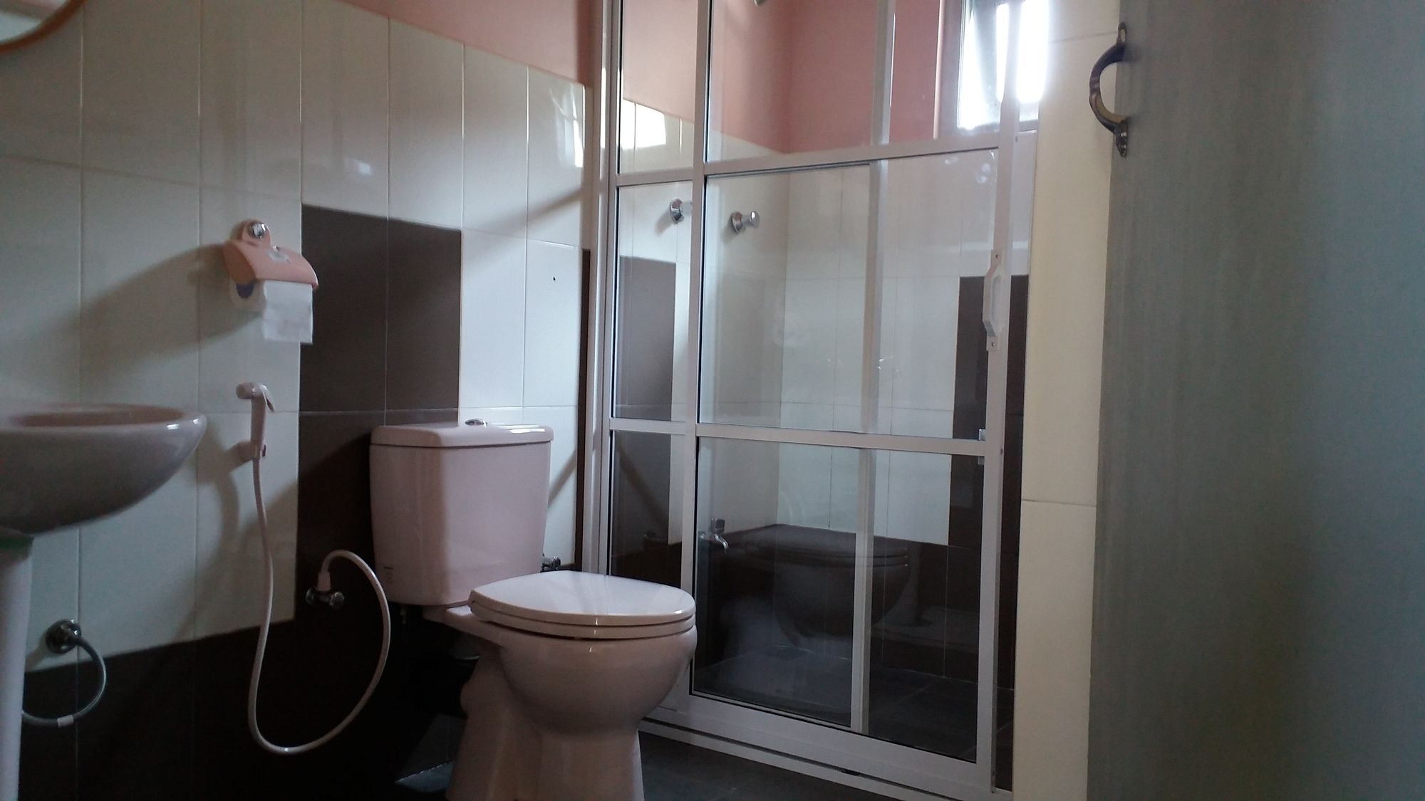 Фото Carnation Rest