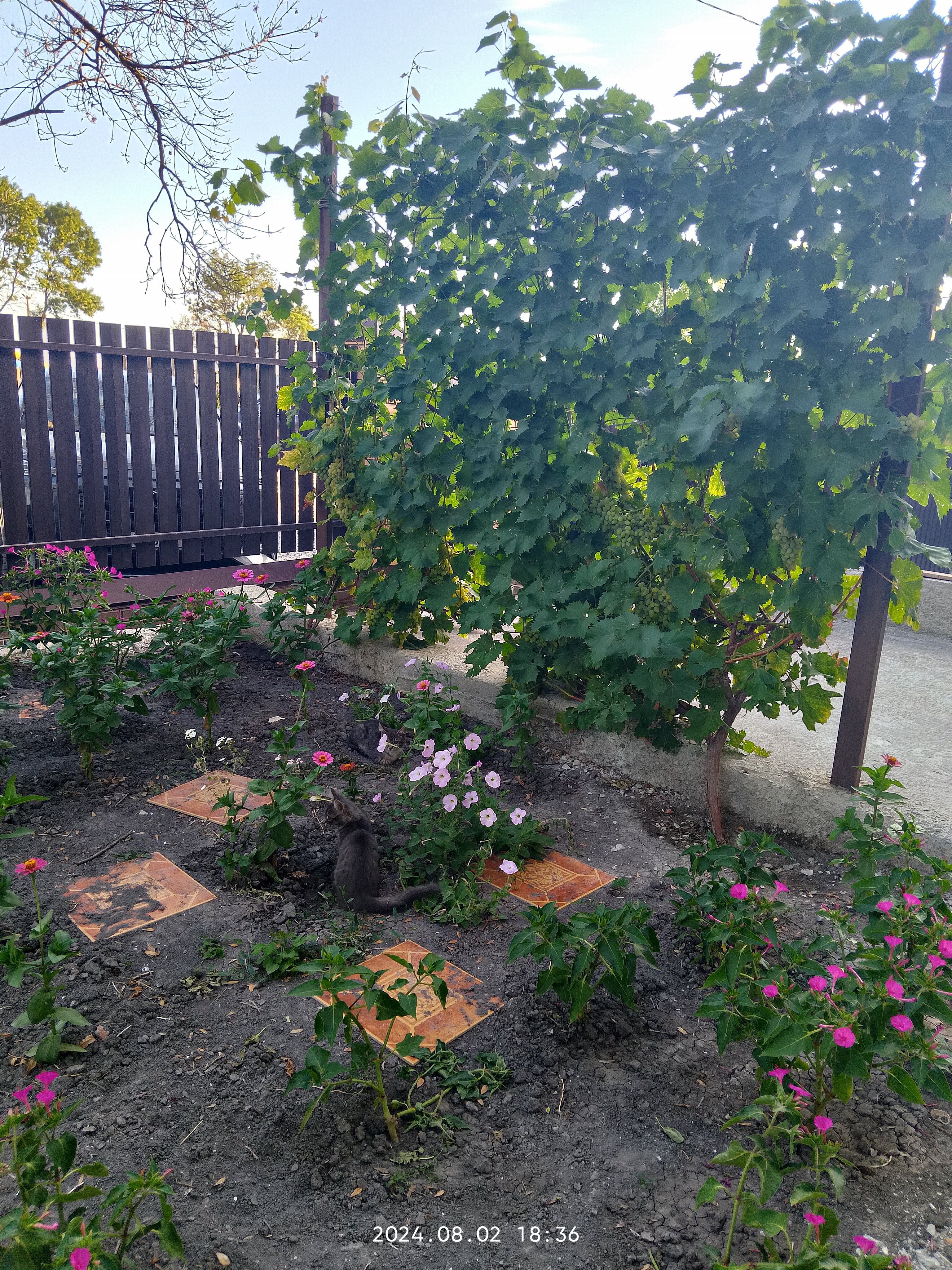 Фото Светлана