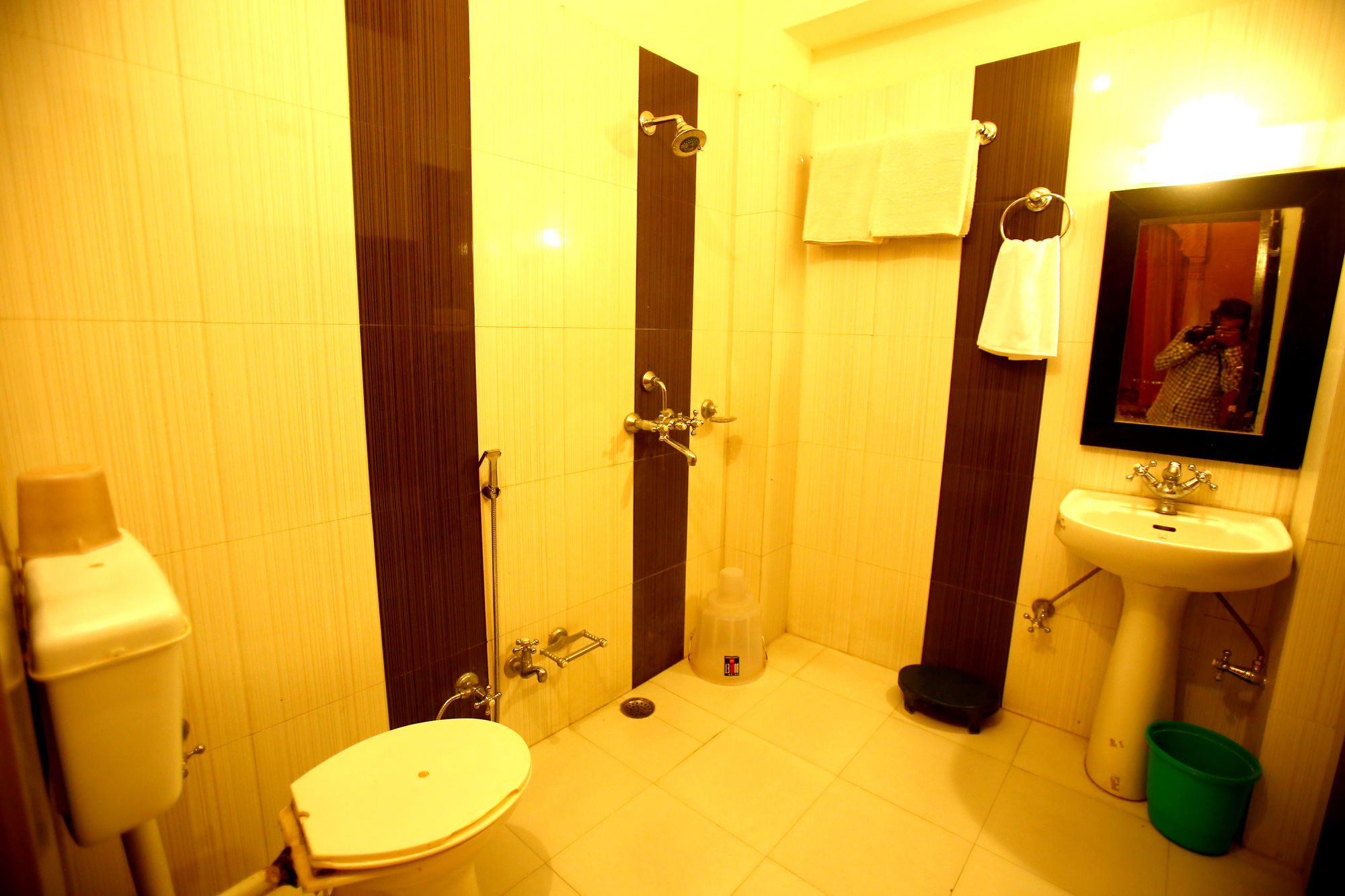 Фото Hotel Royal Haveli