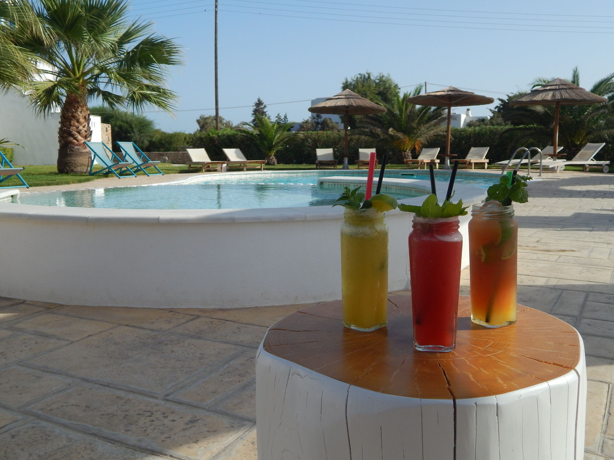 Фото Dolphin Kastraki Studios