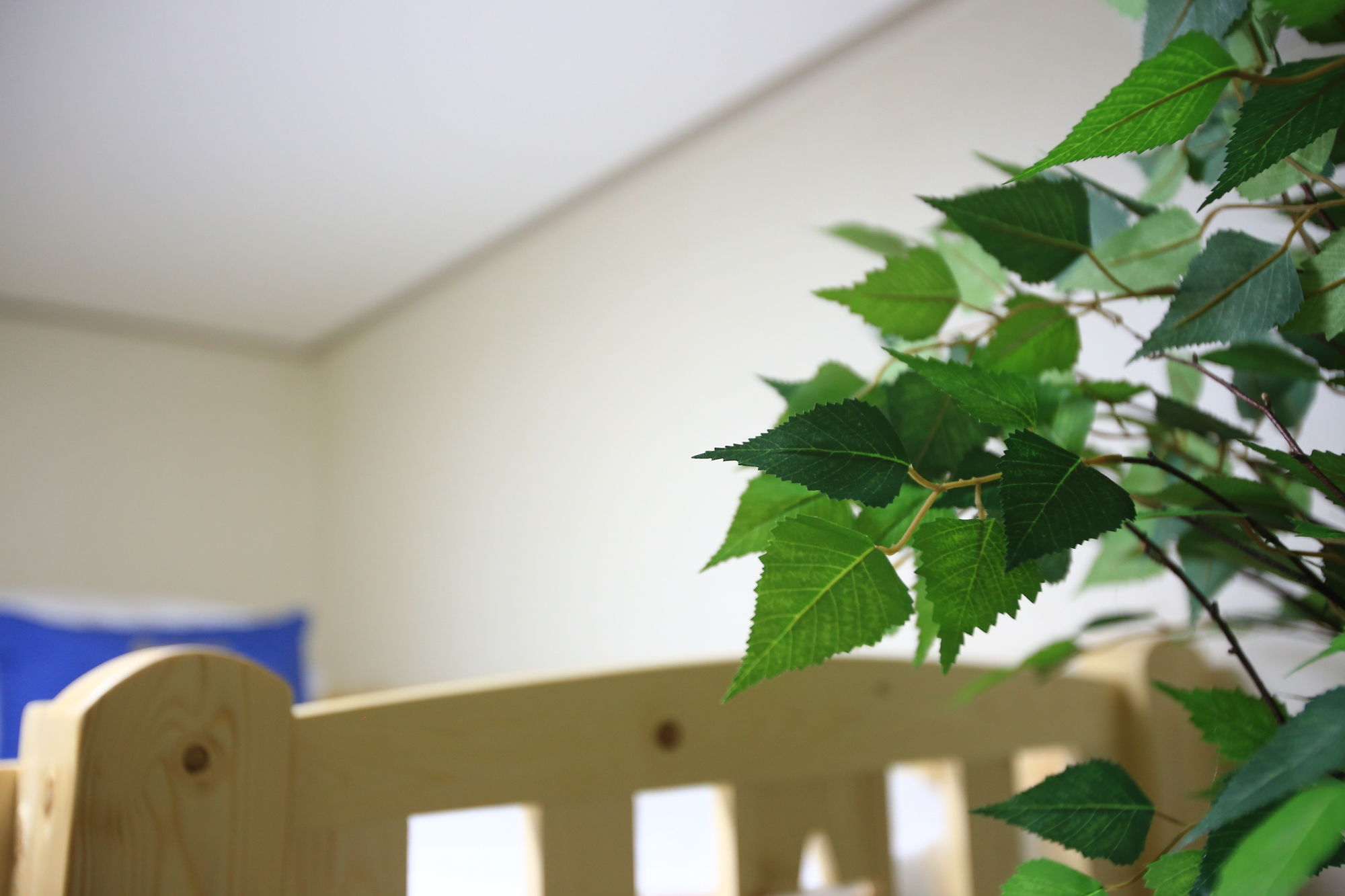 Фото Peanut Hotel