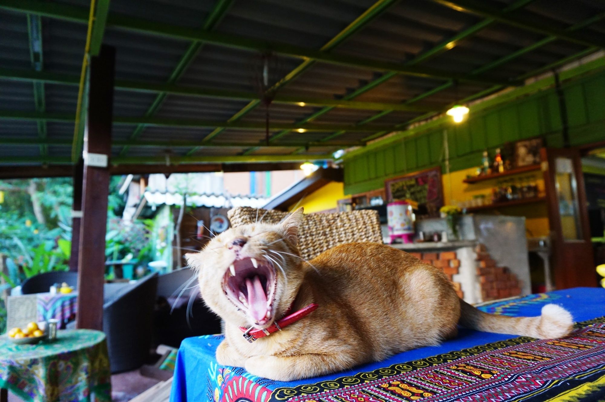 Фото Sawasdeepai River Resort