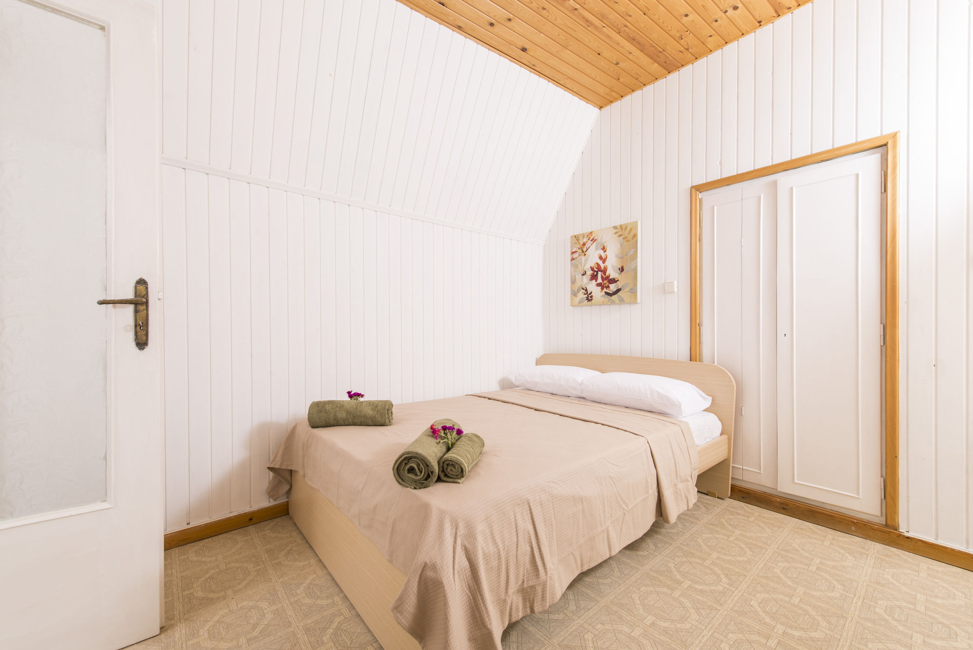 Фото Morning Star