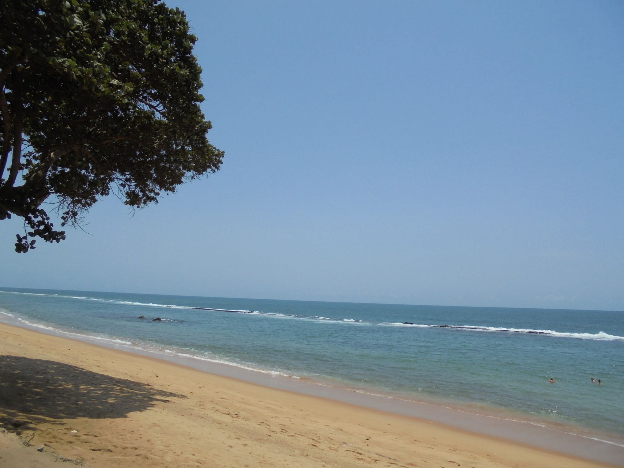 Фото New Robinson Plage