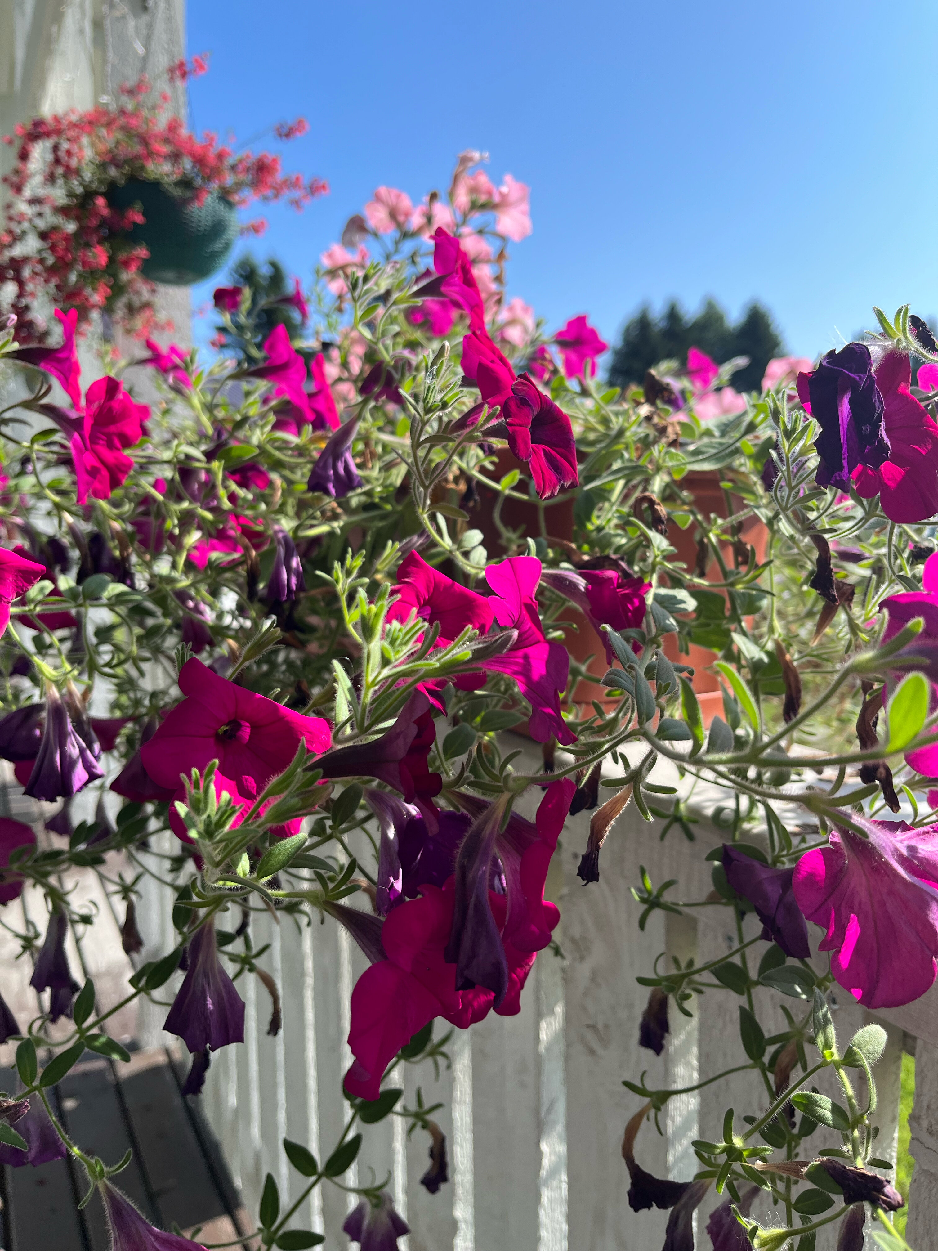 Фото Хутор Зимний