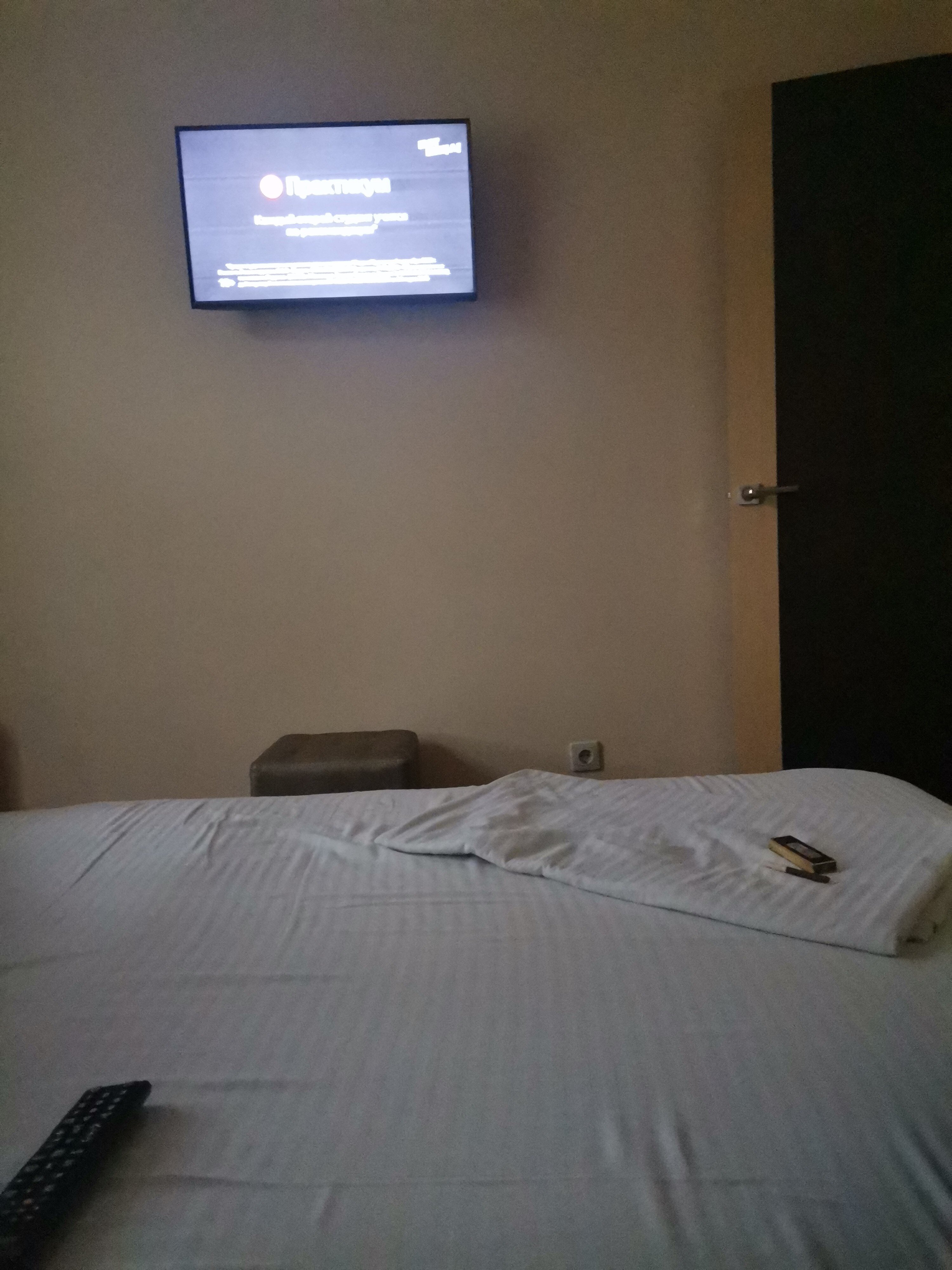 Фото Красный Подсолнух