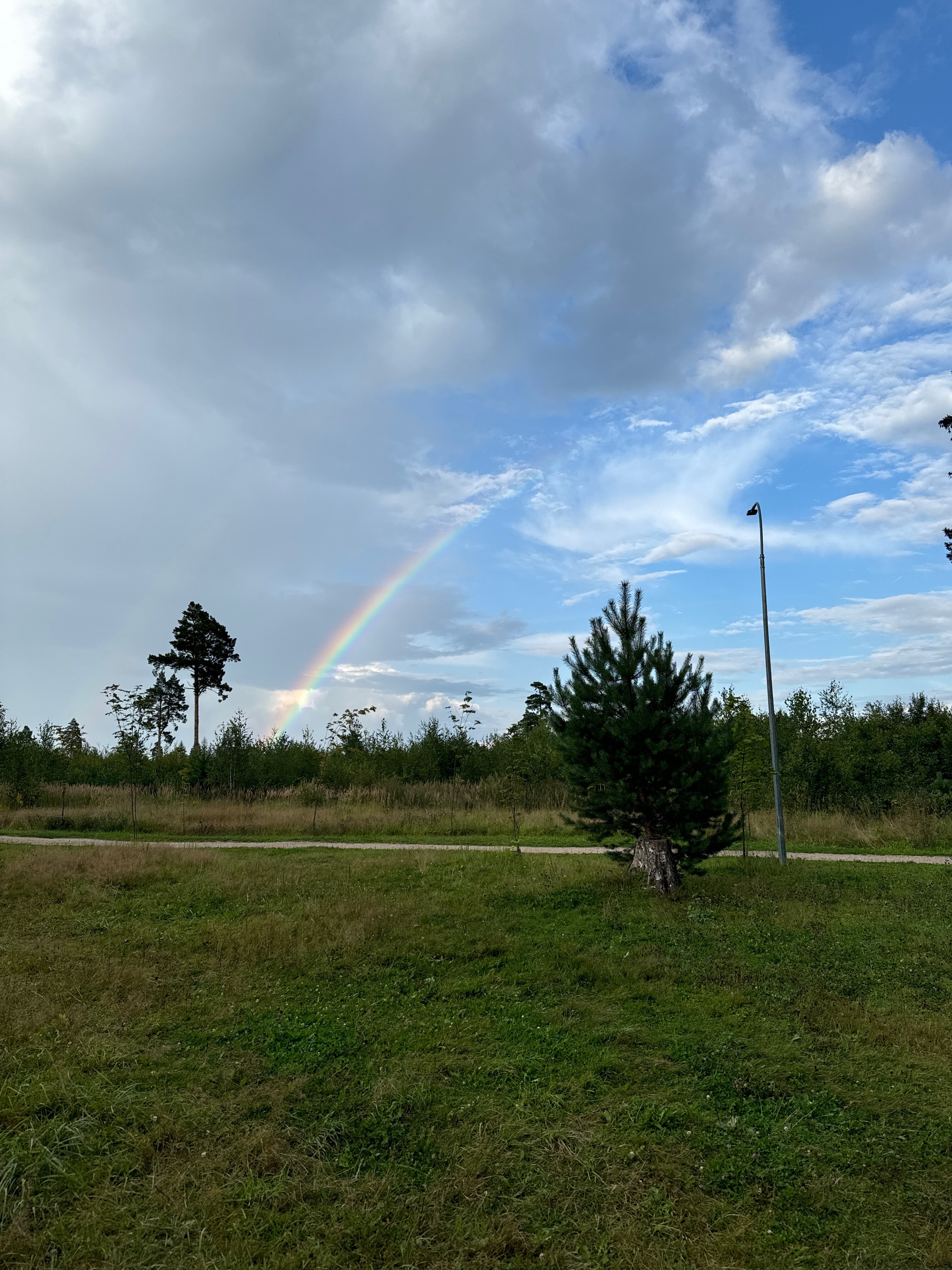 Фото Актёр Руза