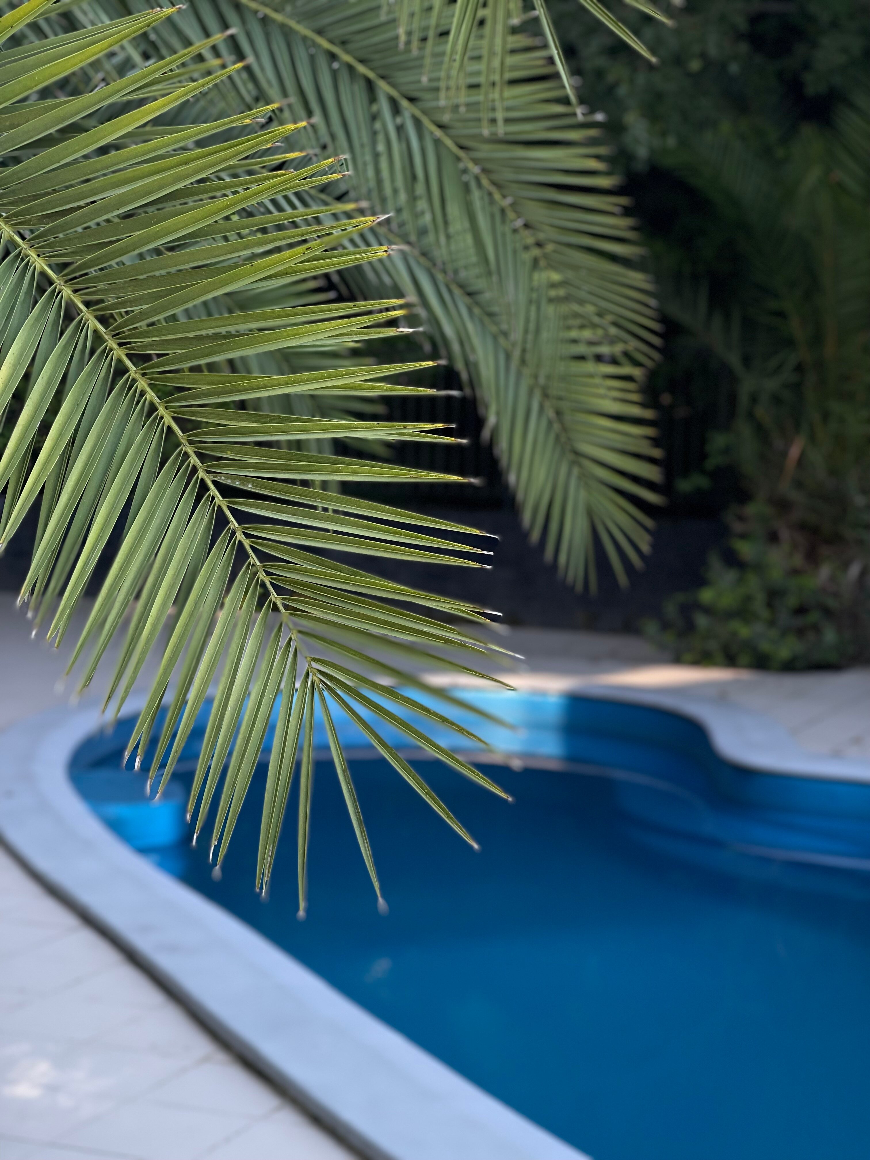 Фото Ретрит Дом Ливерпуль