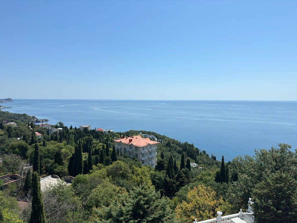 Фото Форест