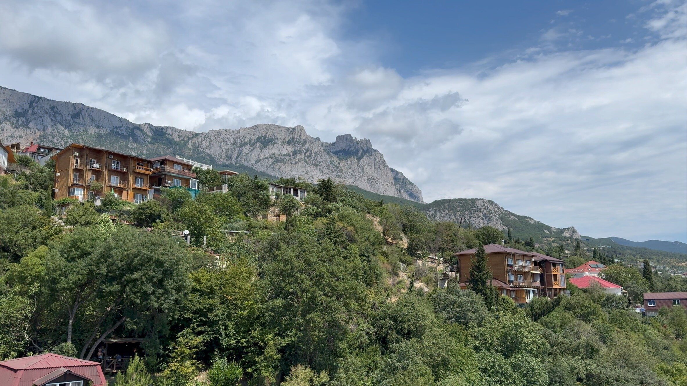 Фото Форест