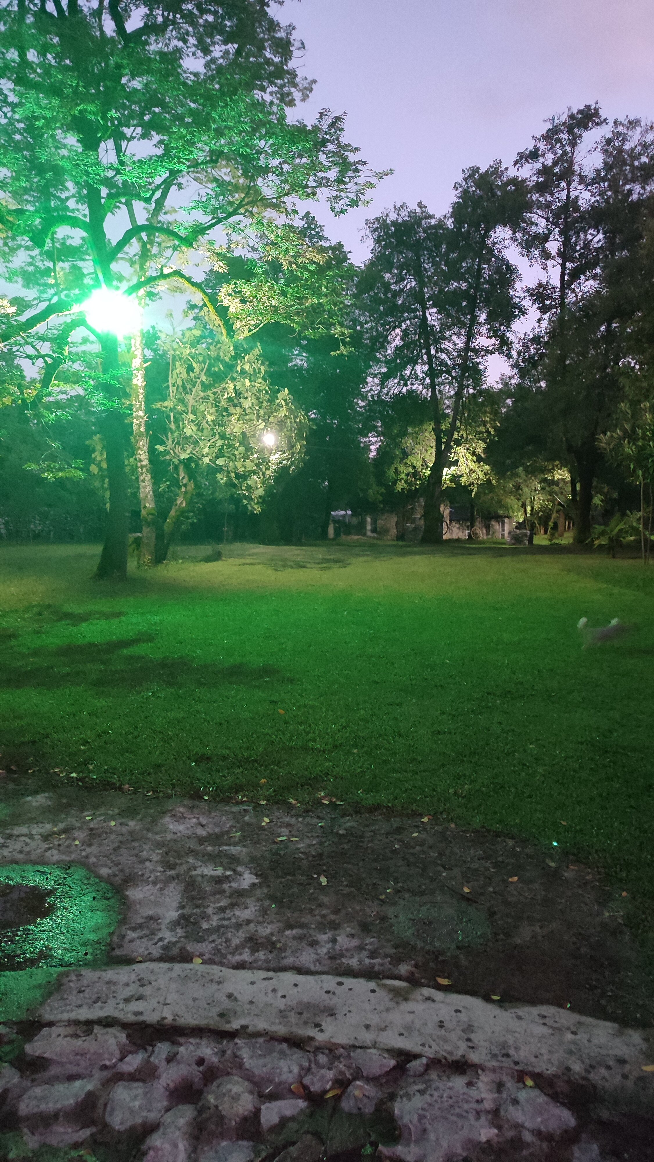 Фото Замок Хаита в Горах