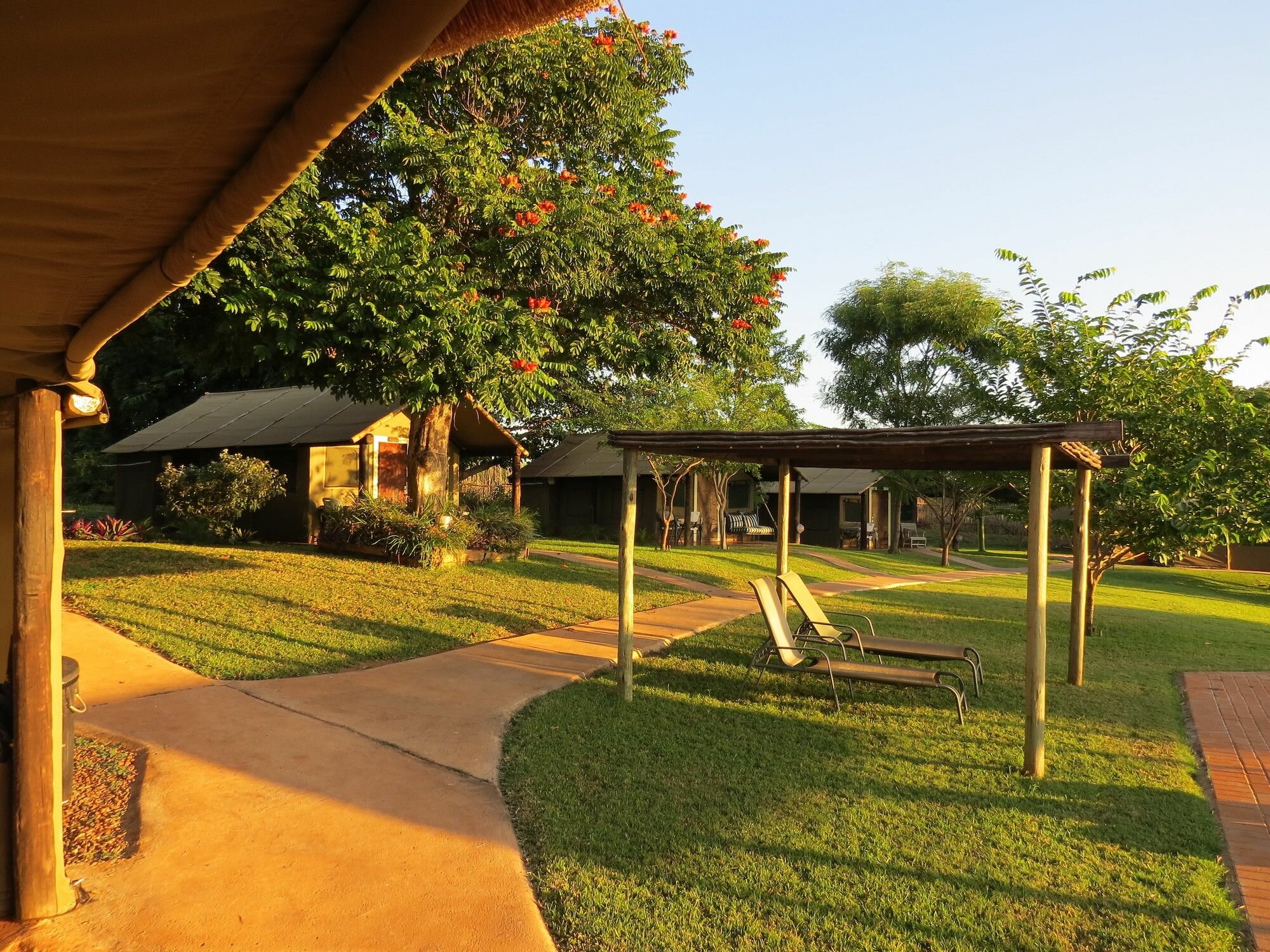 Фото Crocodile Bridge Safari Lodge