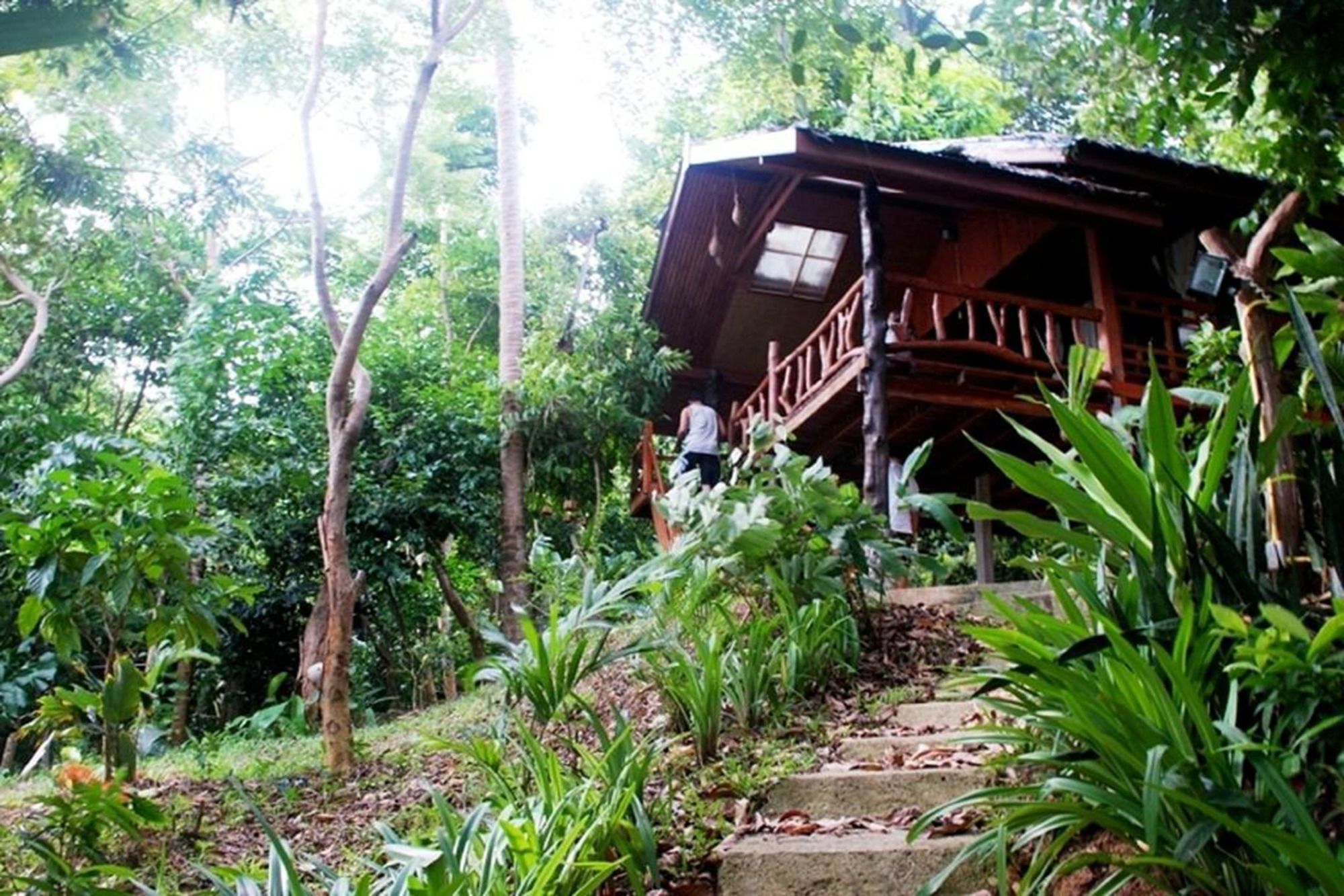 Фото Phi Phi Sunset Bay Resort