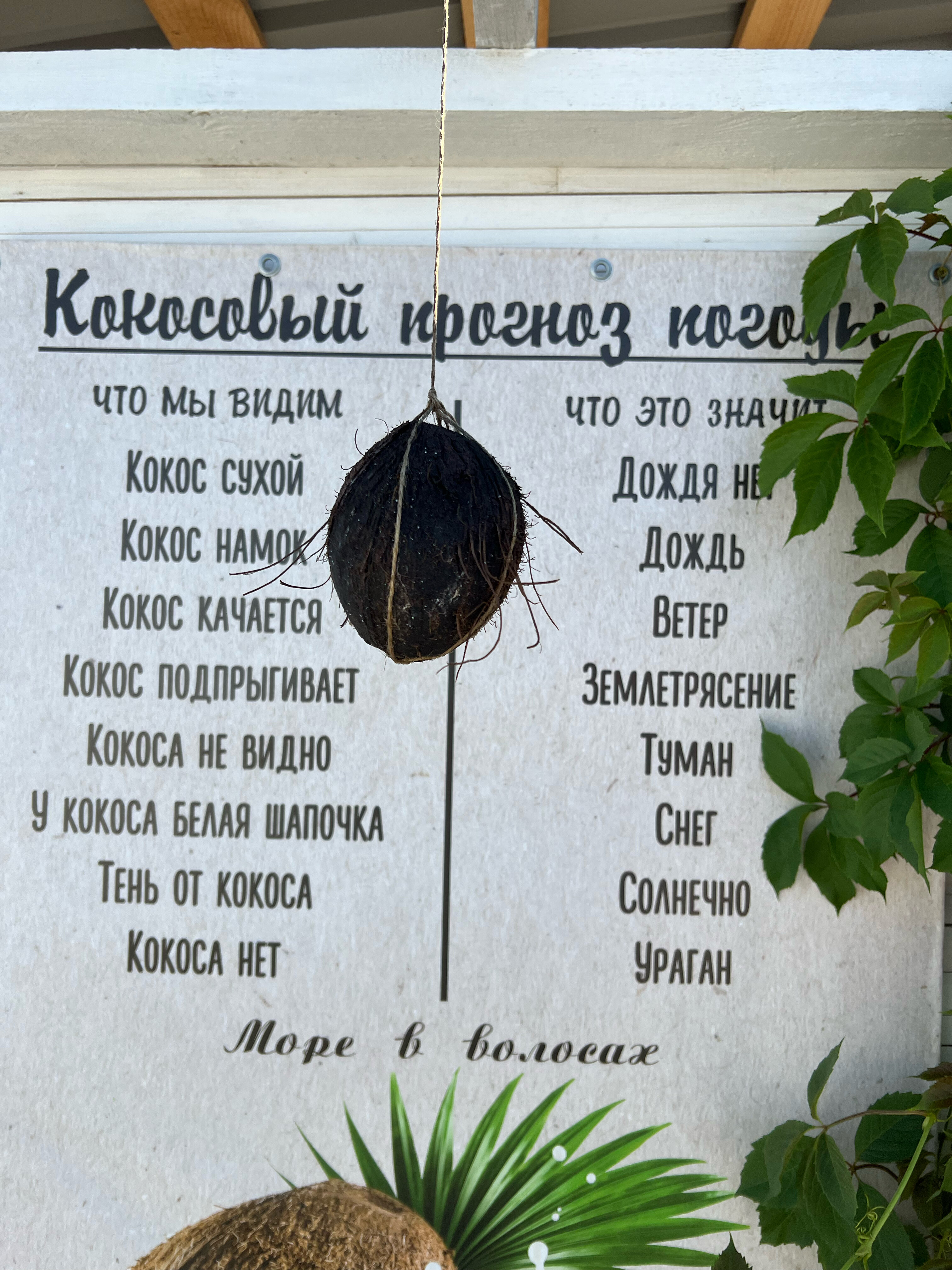 Фото Море в волосах