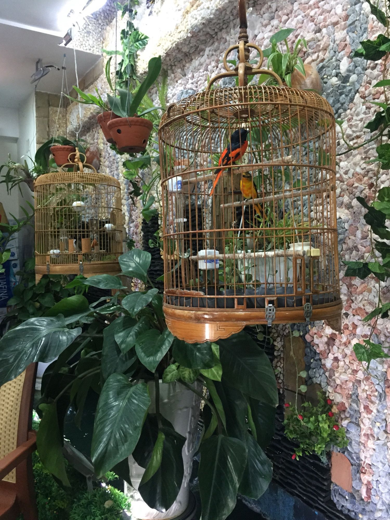 Фото Thanh Thao Hotel