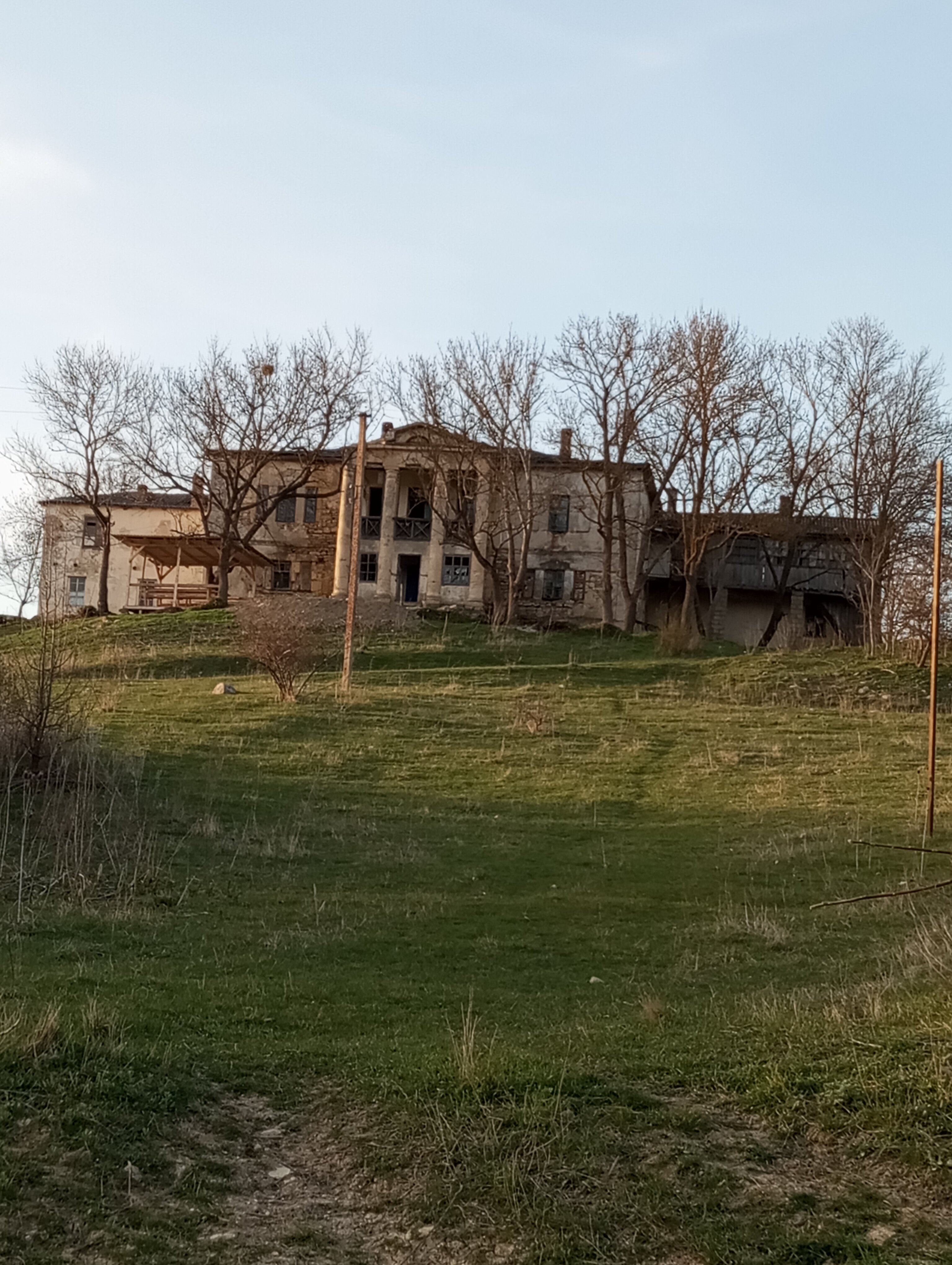 Фото Зарянка