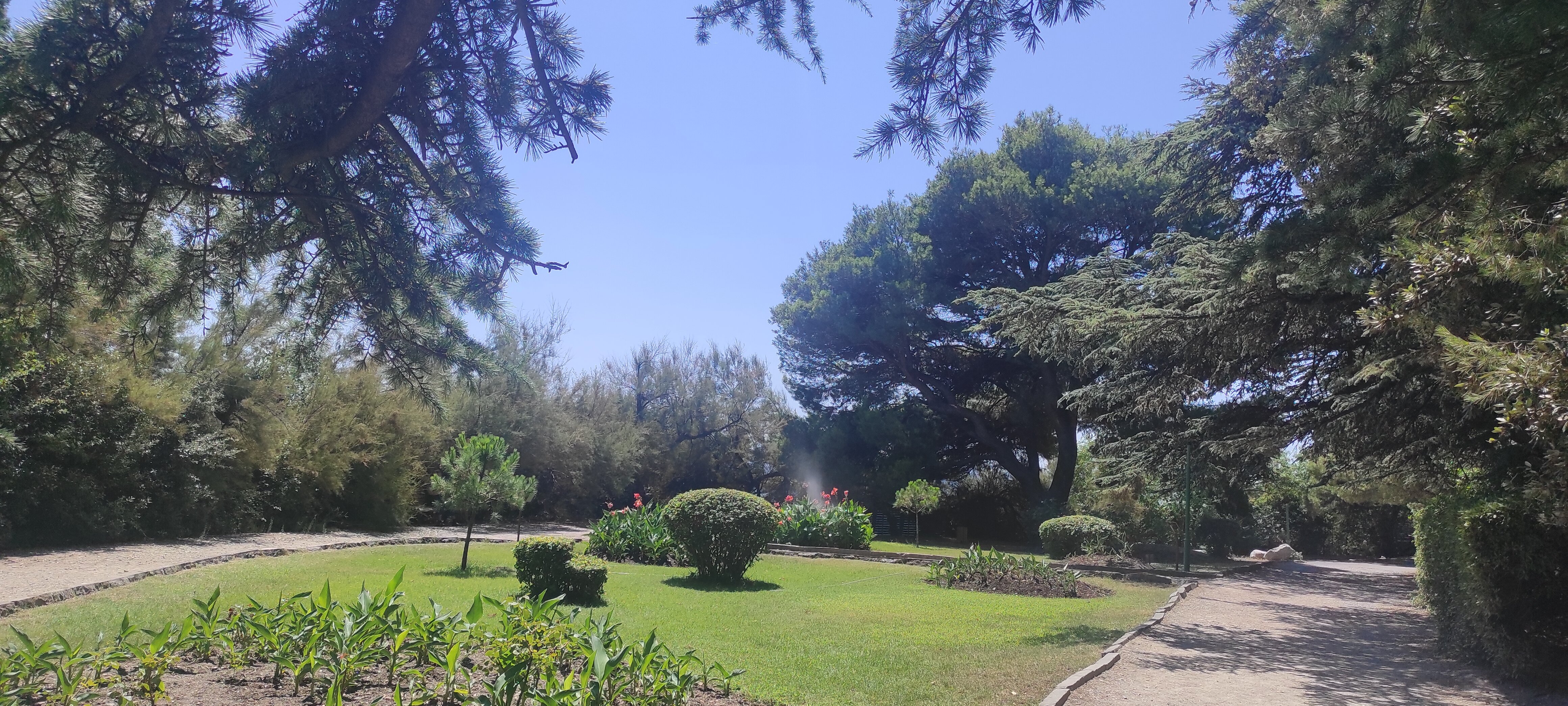 Фото Коктейль