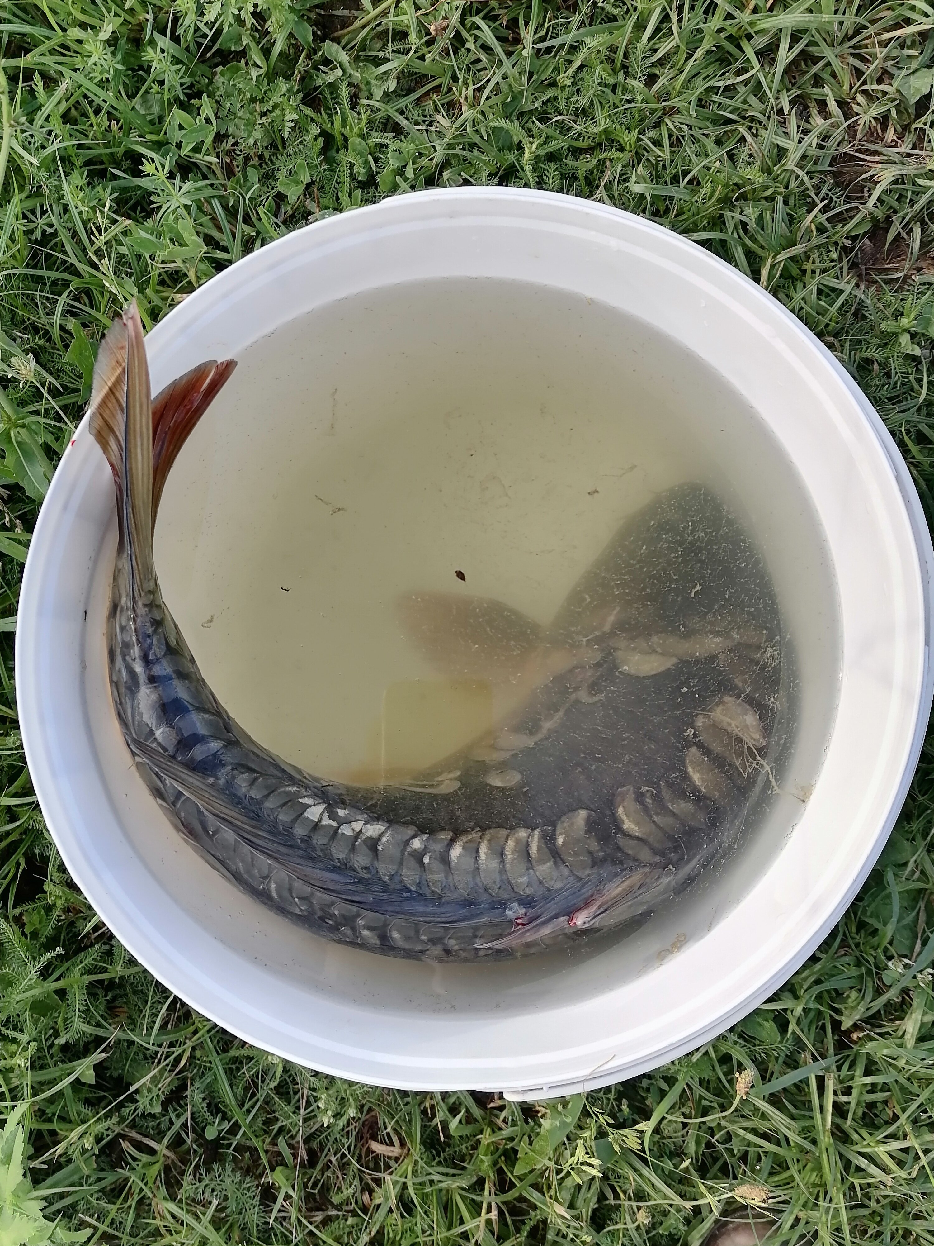 Фото Клёвый хуторок