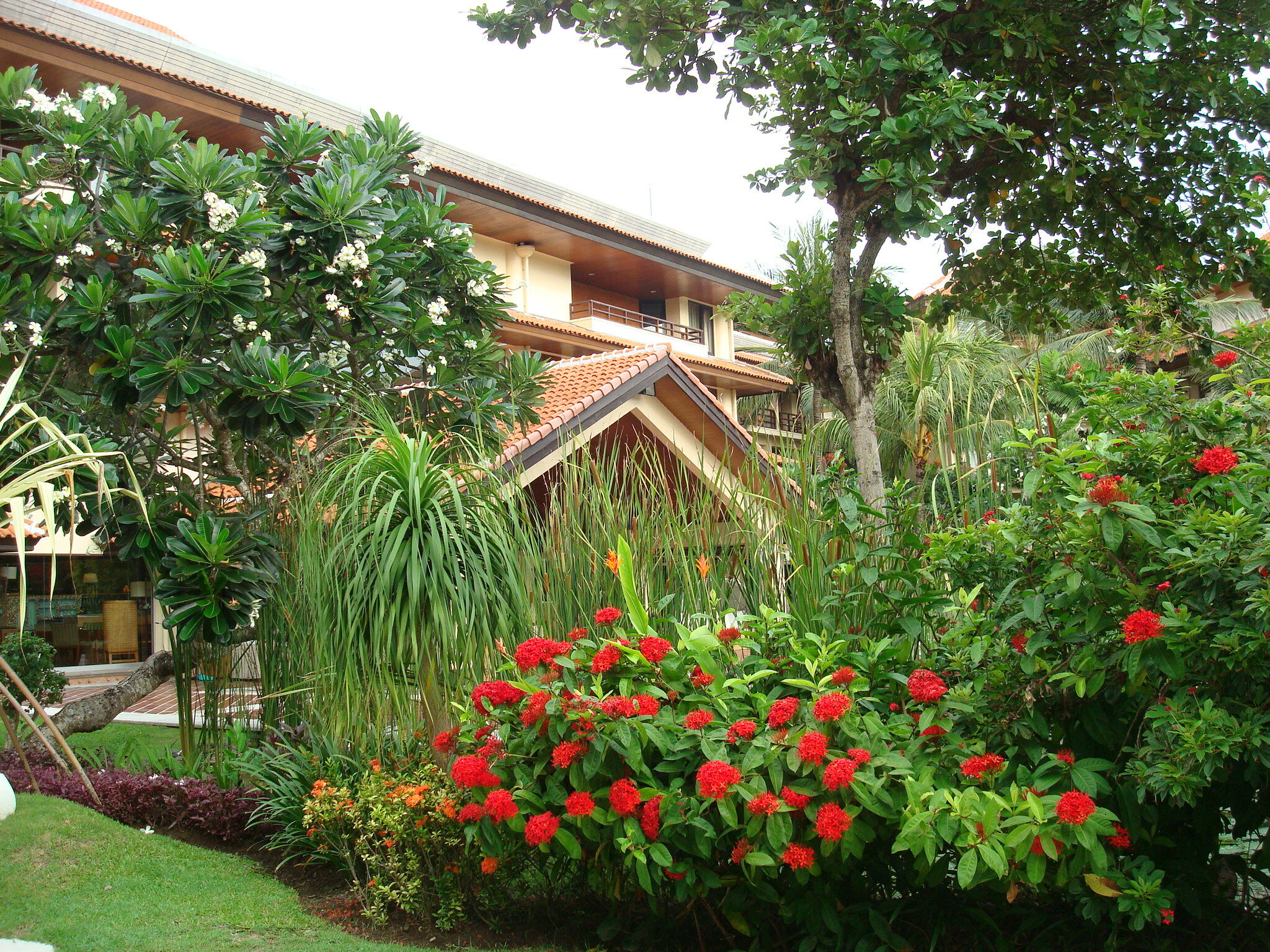 Фото The Westin Resort Nusa Dua, Bali