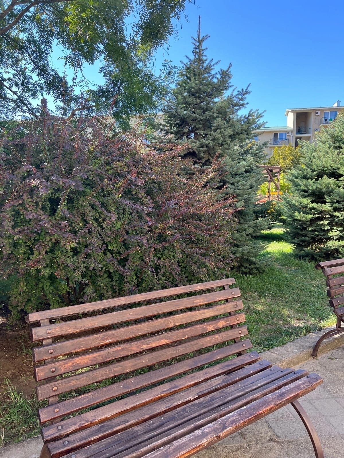 Фото Леонардо