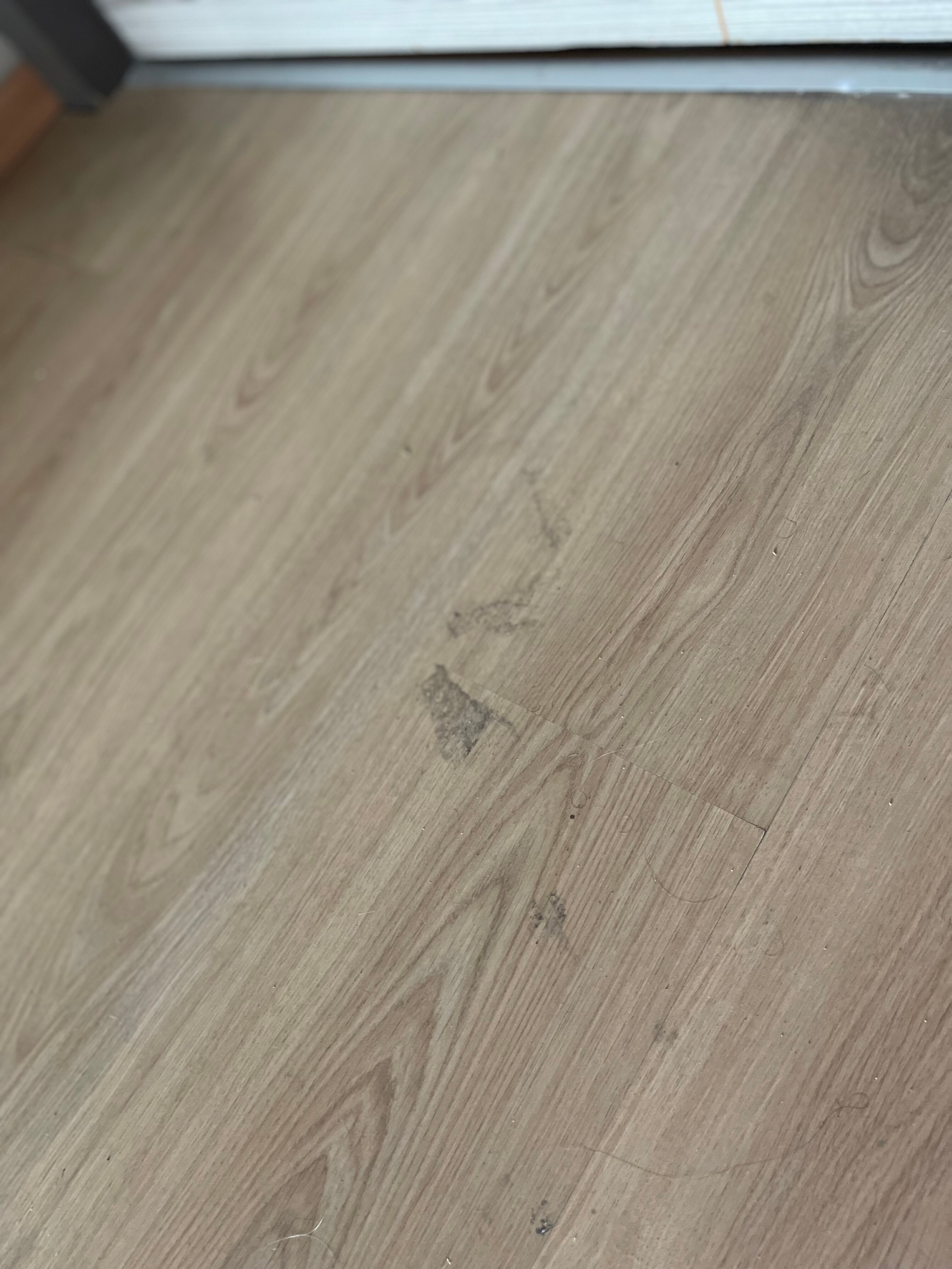 Фото Euphoria Hotel Batumi