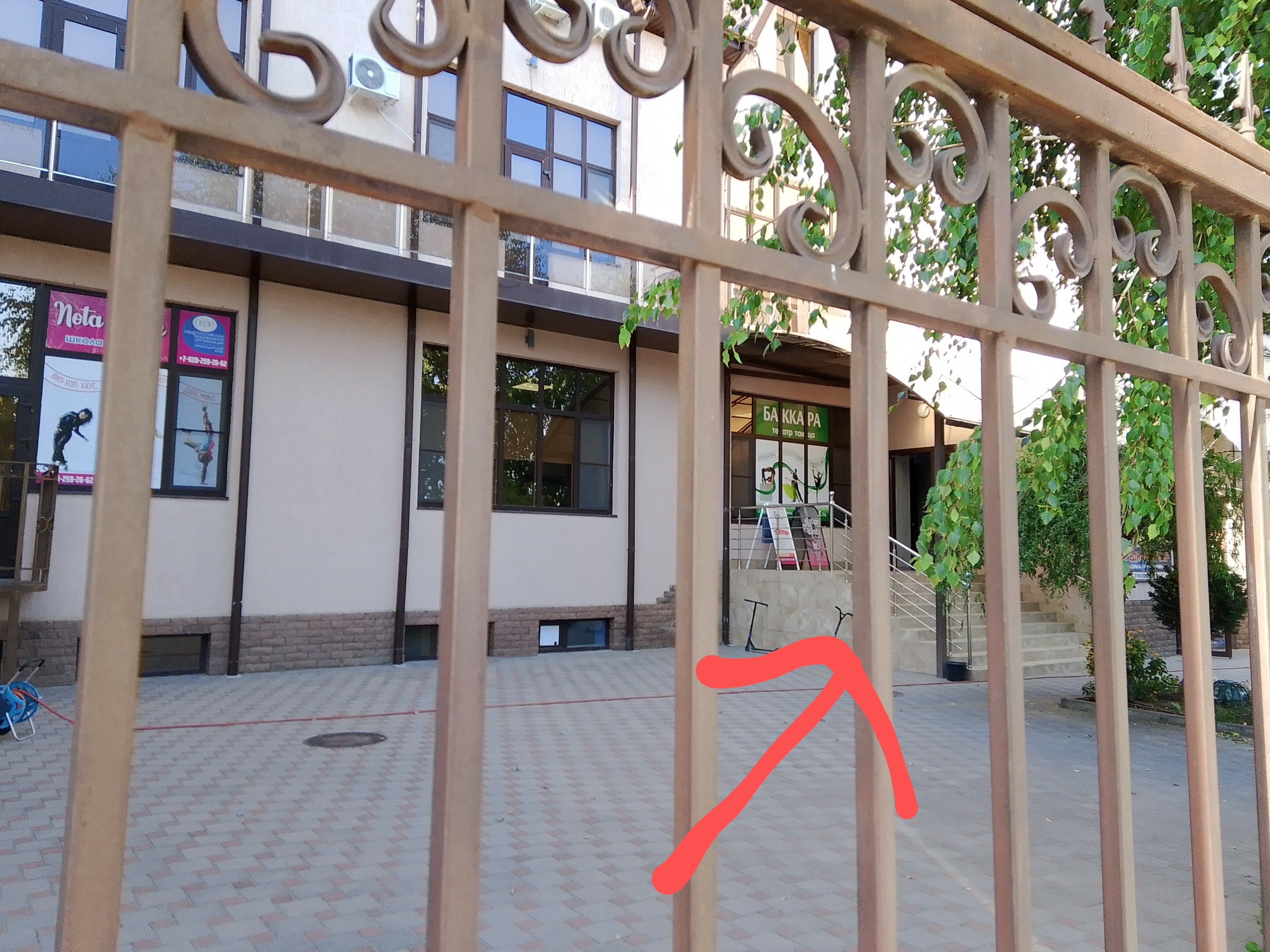 Фото Гольфстрим