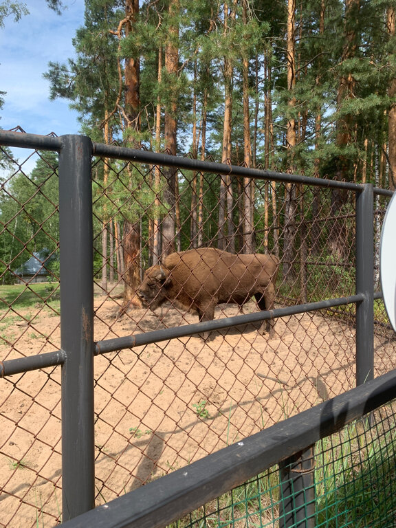 Фото НиКиТа