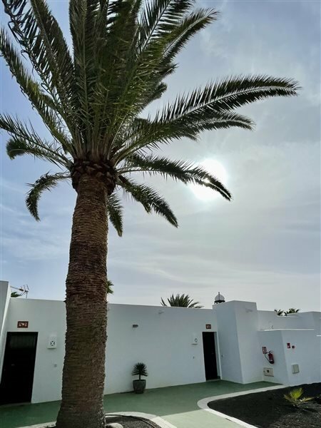 Фото Palmeras Garden