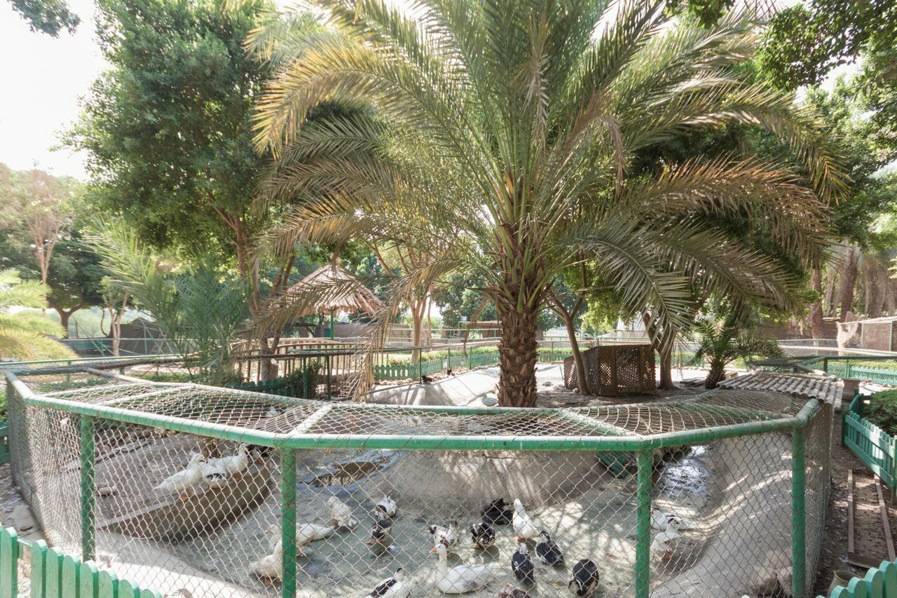 Фото Jolie Ville Hotel & SPA Kings Island Luxor