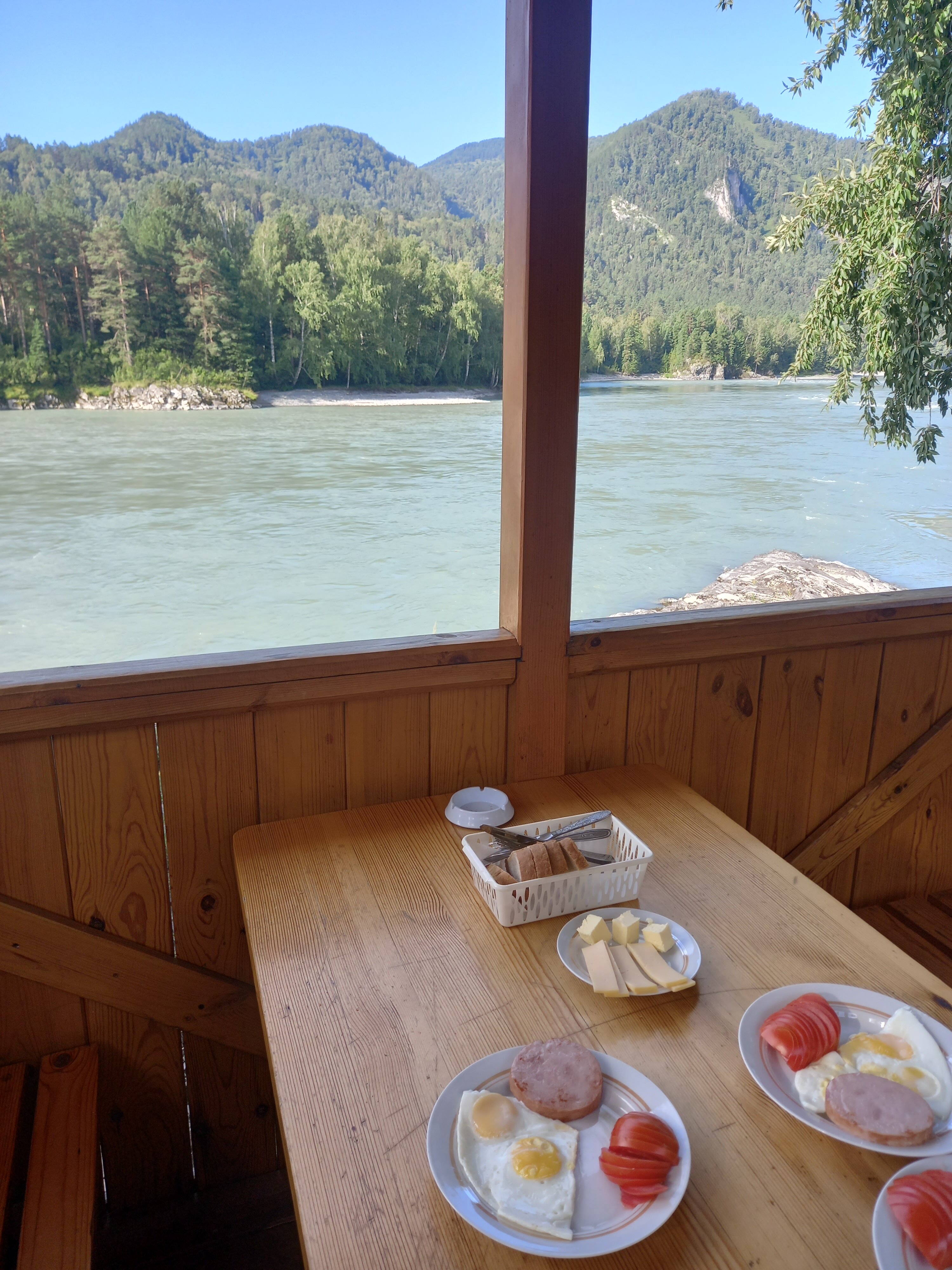 Фото Альбатрос