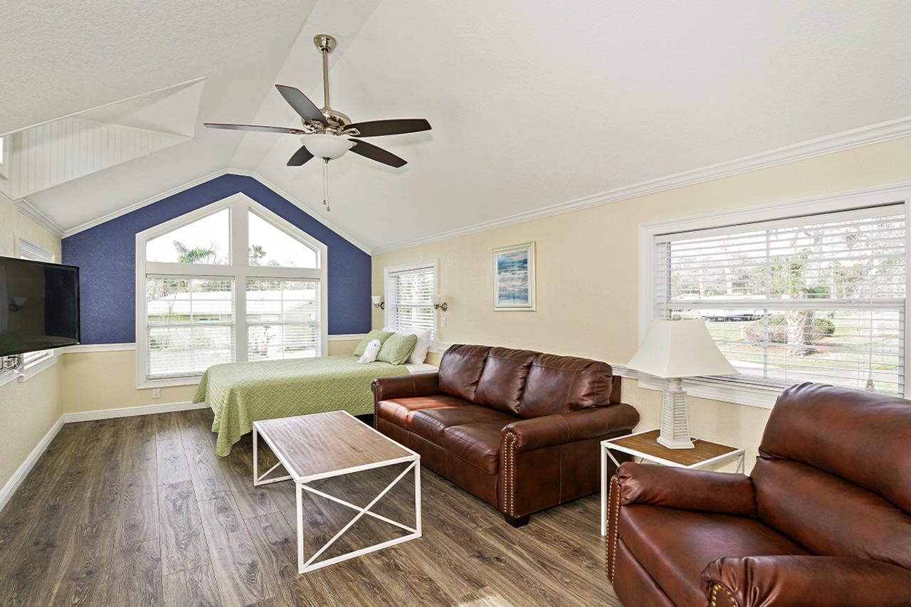 Фото Tropical Palms