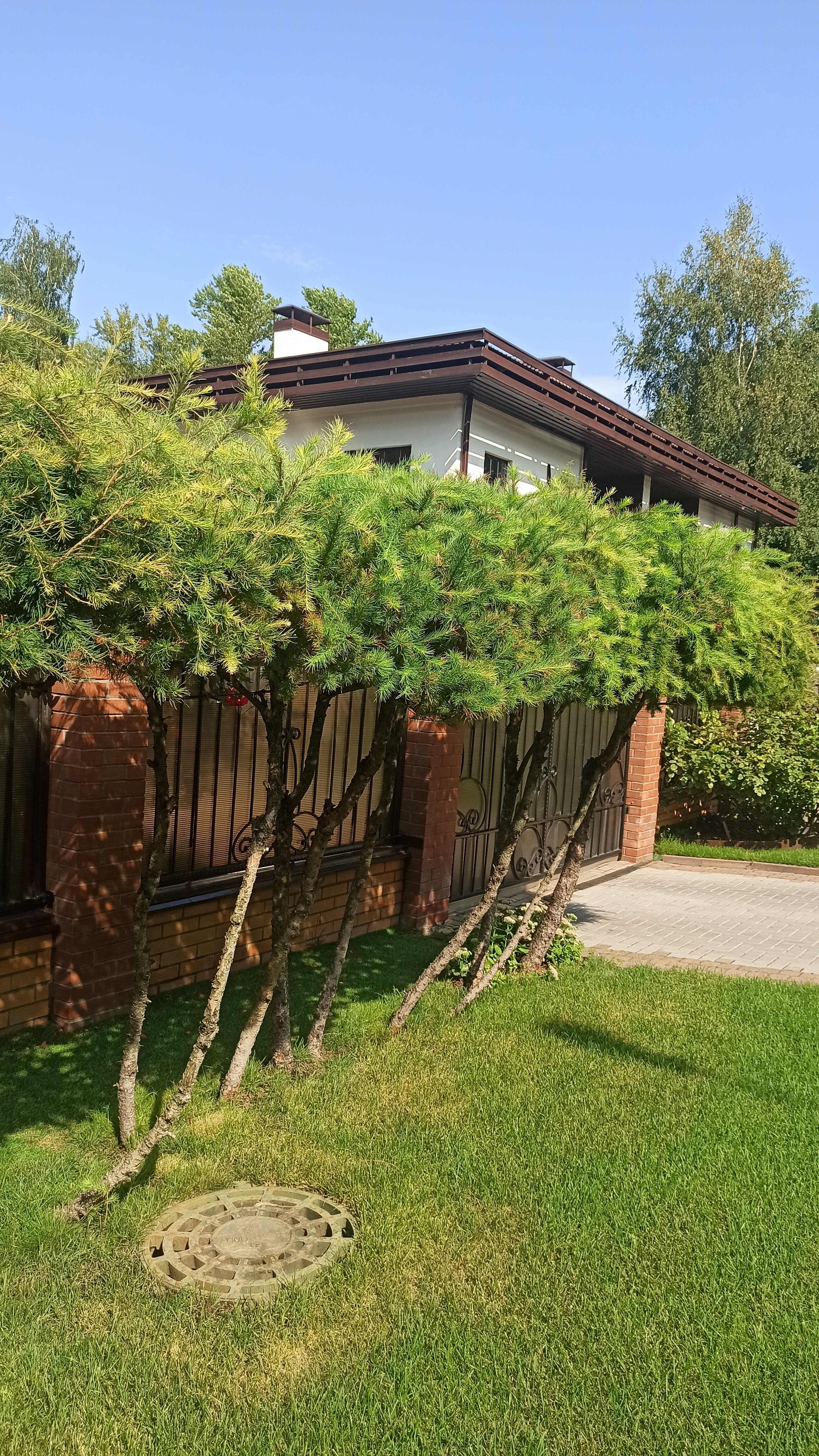 Фото Добрыня