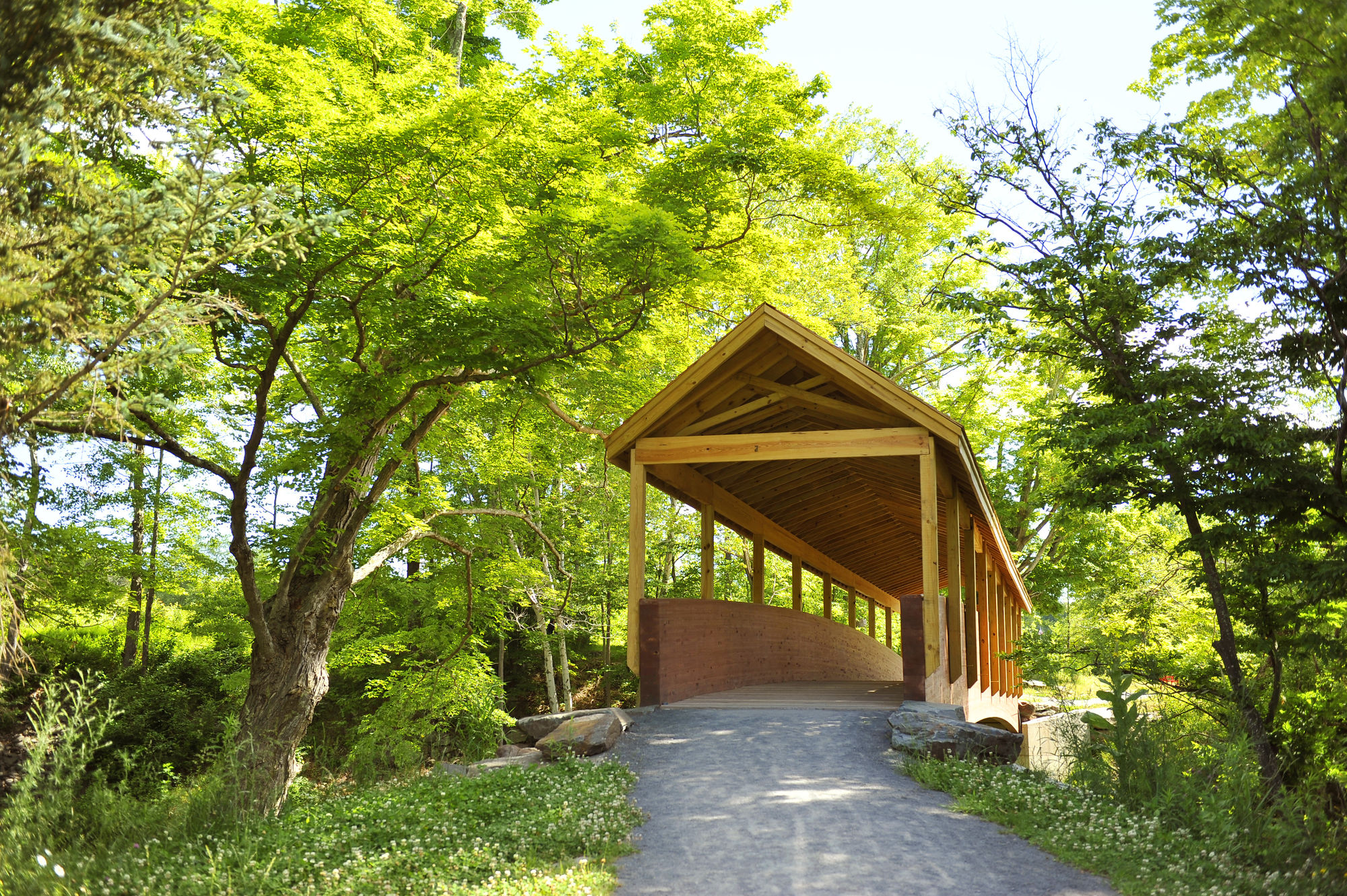 Фото Hotel Vienna