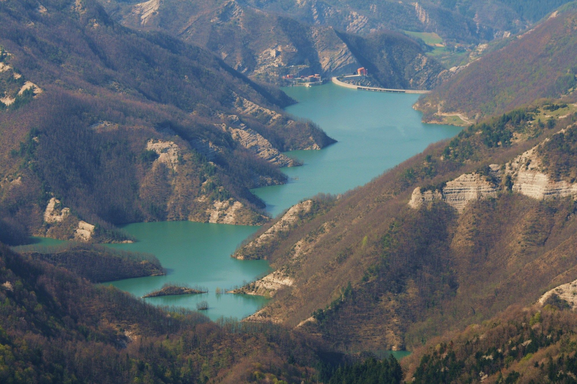 Фото Grand Hotel Terme Roseo