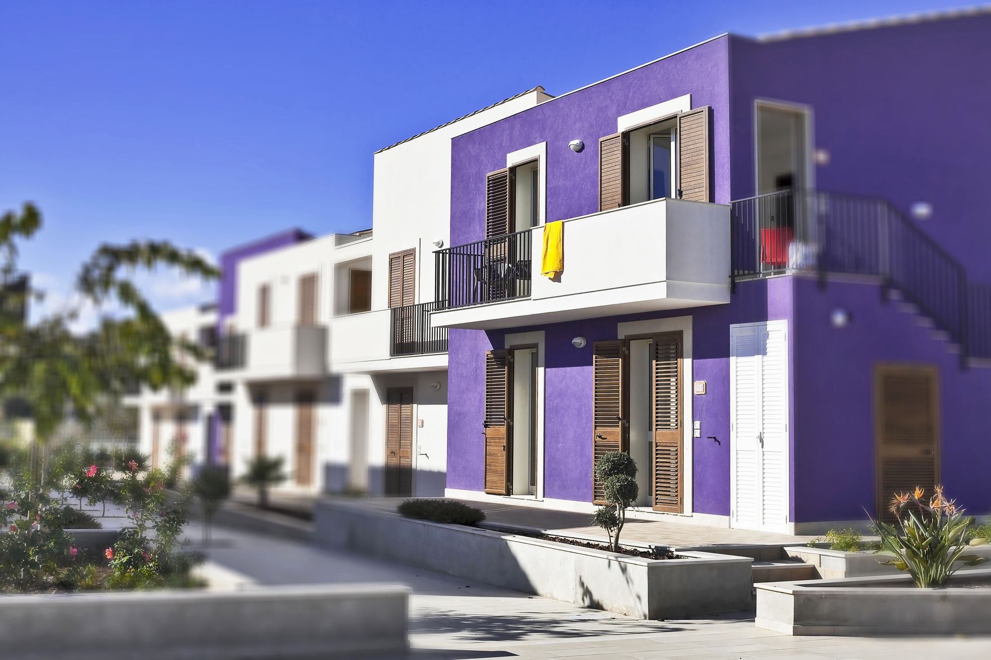 Фото Blu ModicAmare