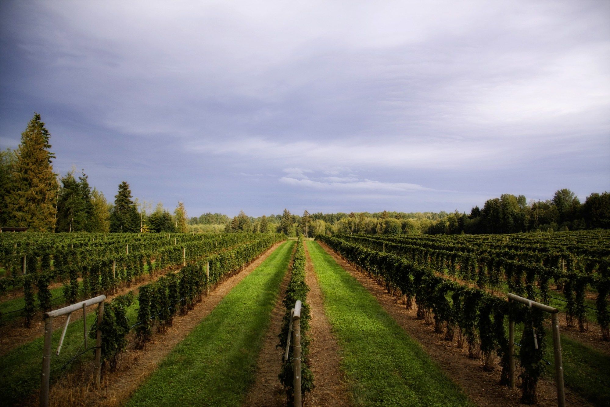 Фото Bayview Hotel