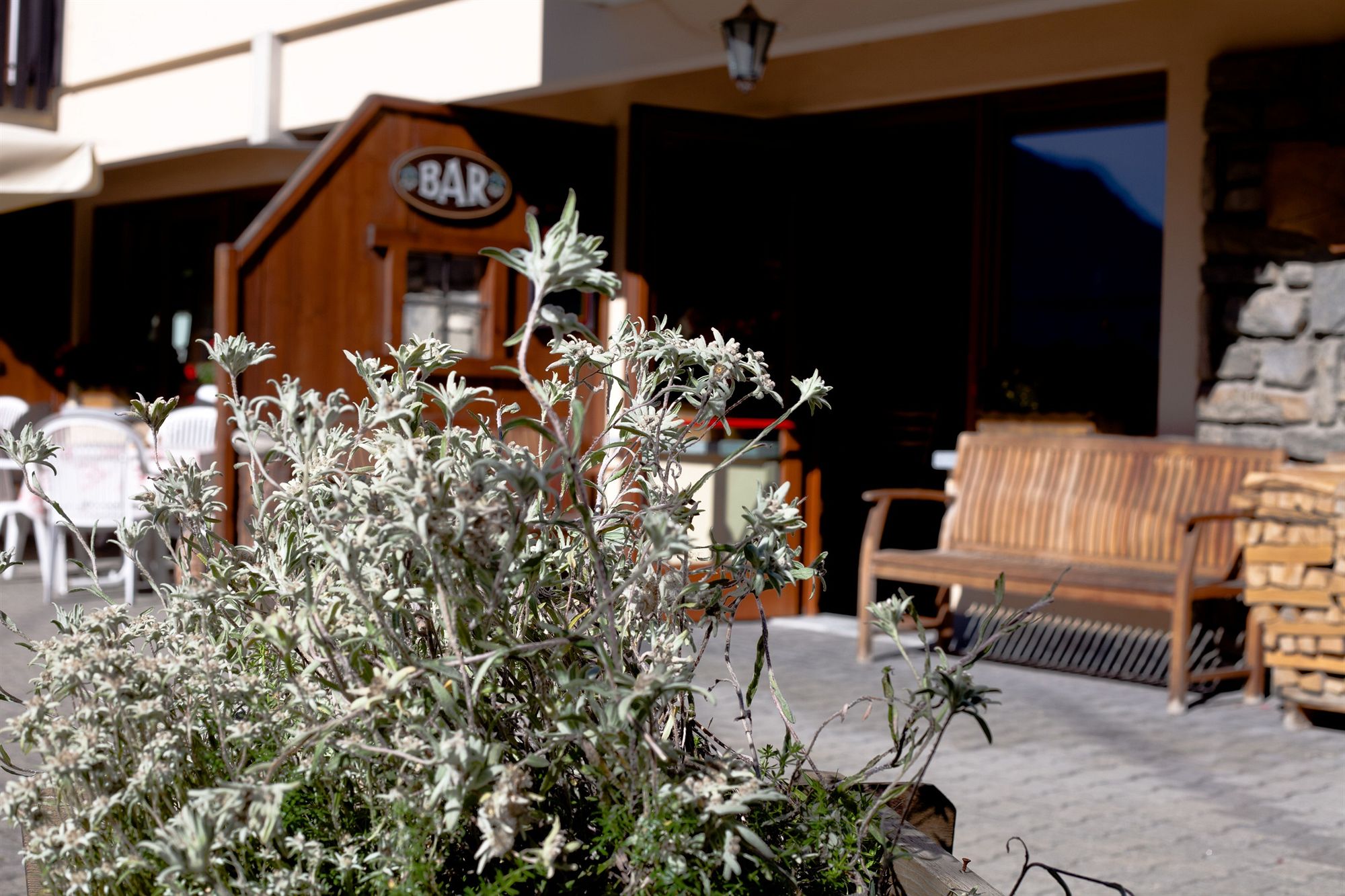 Фото Hotel La Vallee Blanche