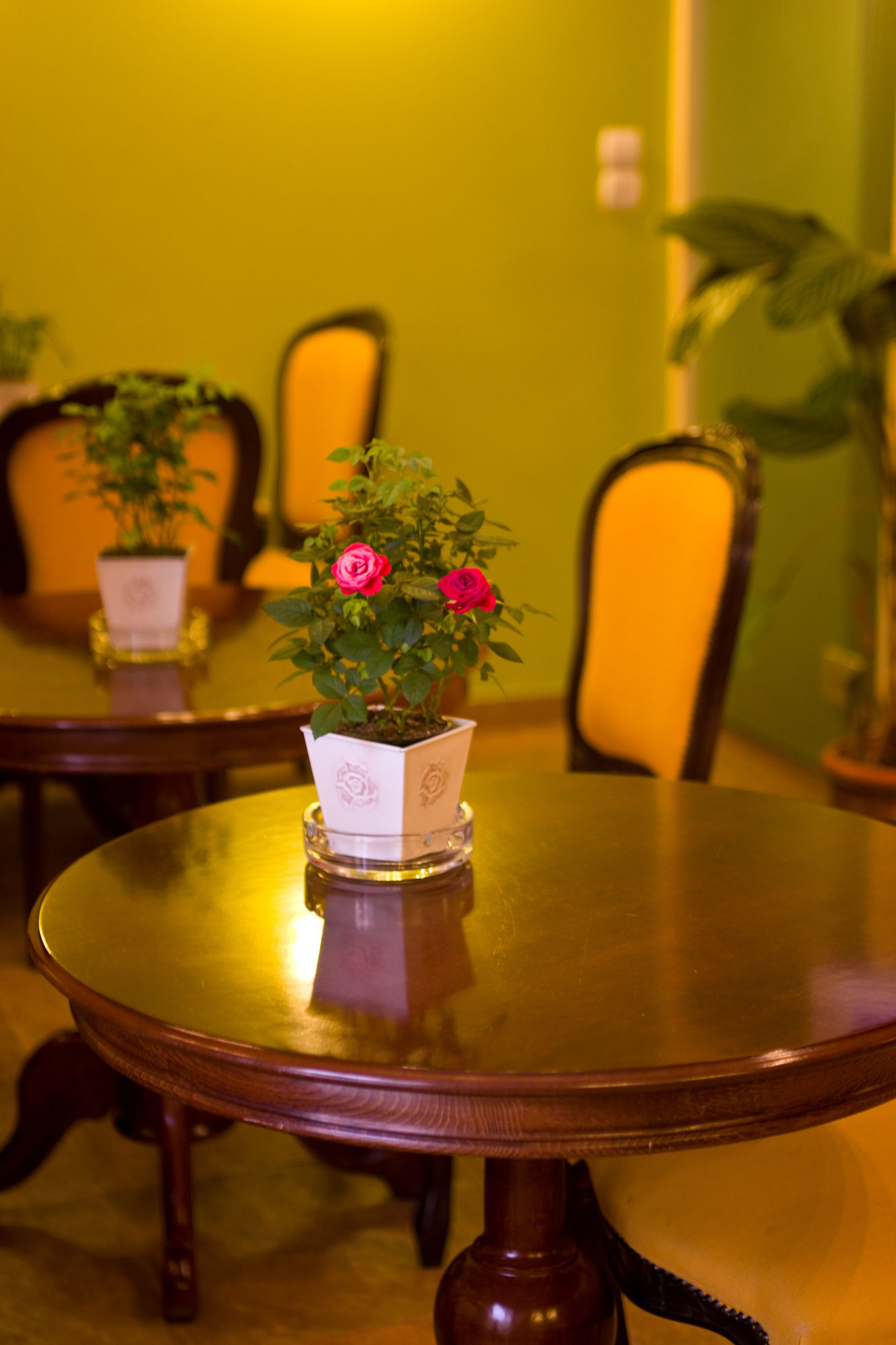 Фото Andromeda Suites