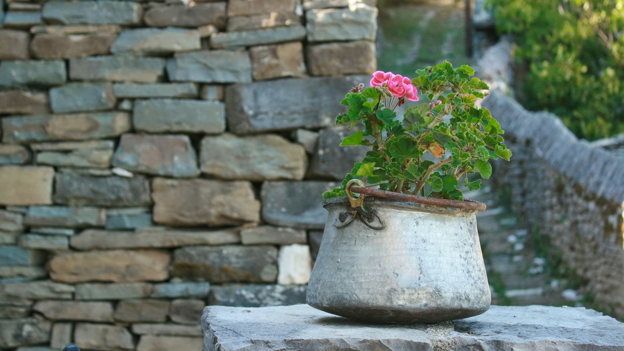 Фото Dilofo Hotel Luxury Suites