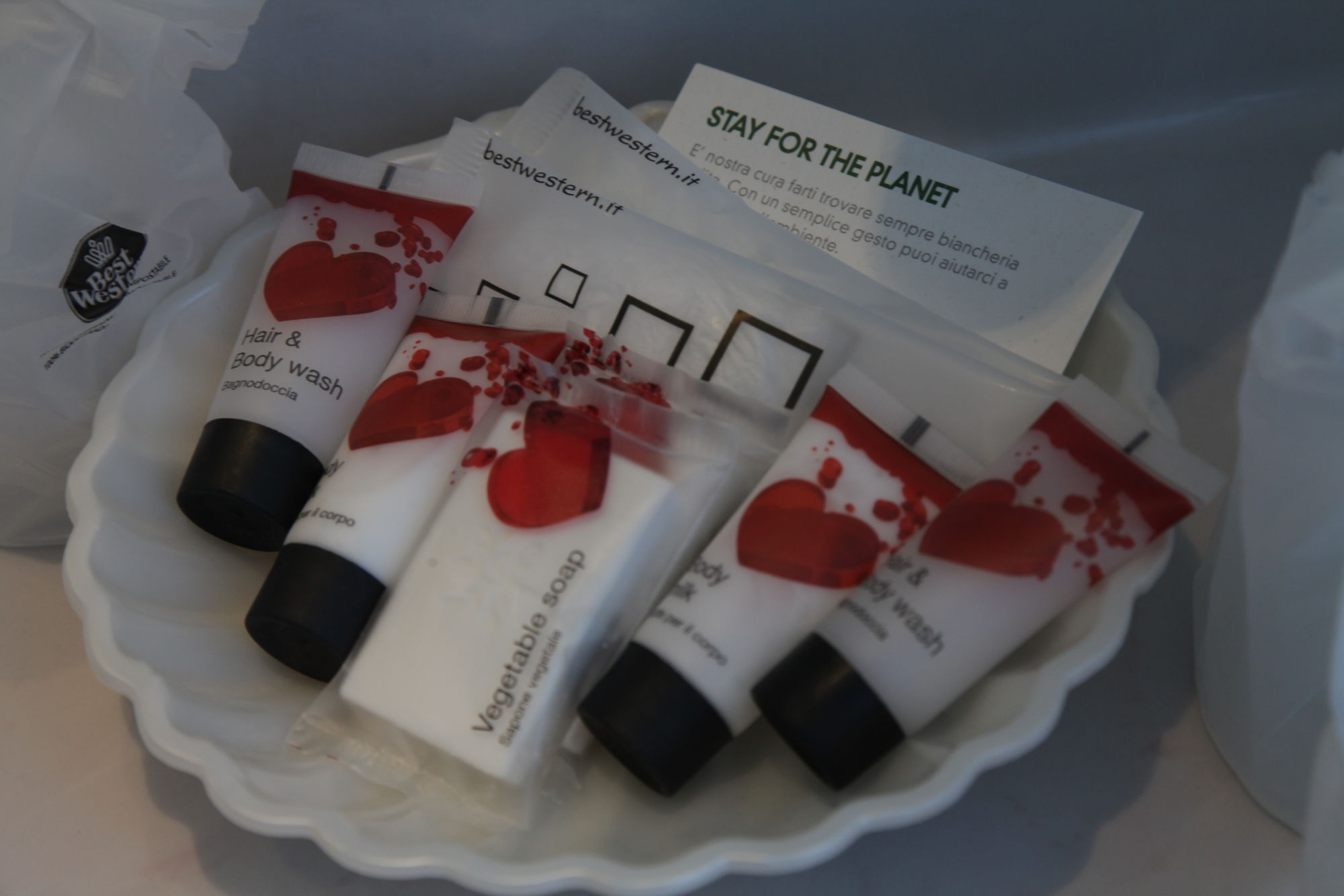 Фото Best Western Hotel Tre Torri