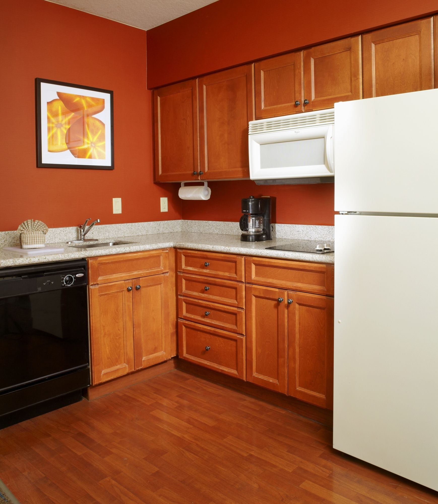 Фото Residence Inn by Marriott Tampa Oldsmar