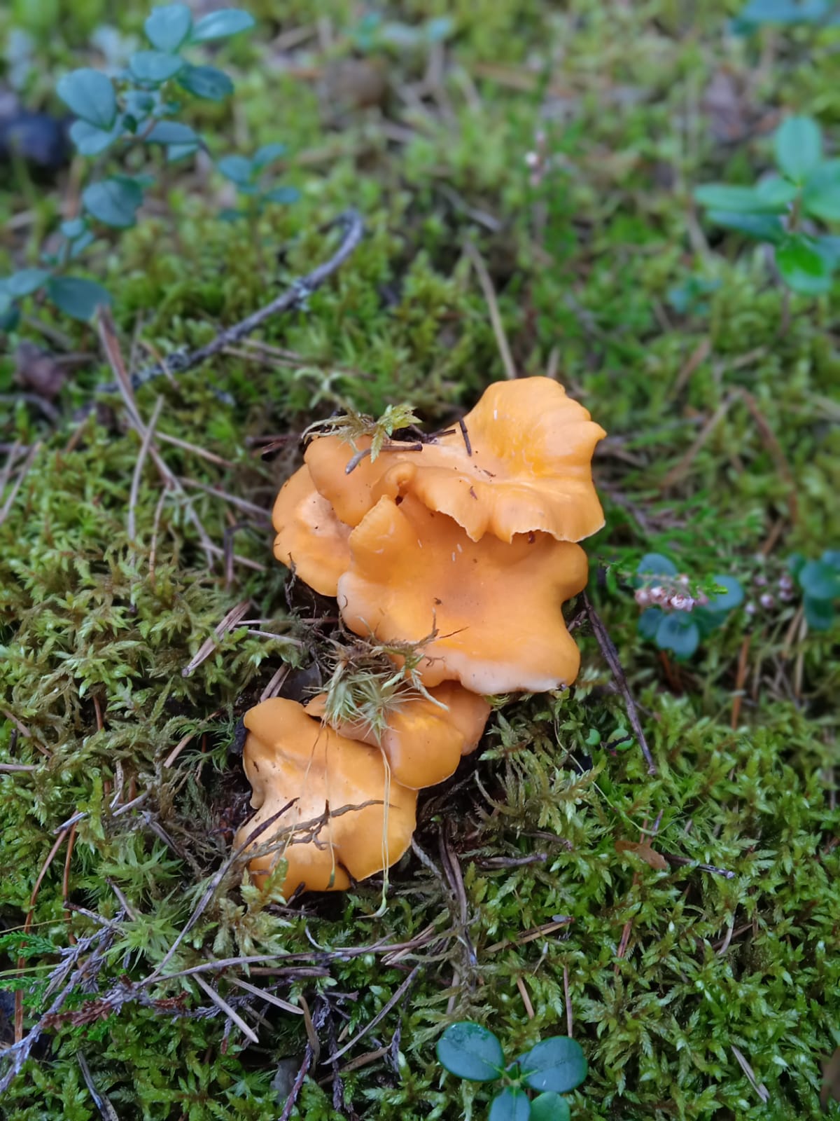 Фото Семиозерие