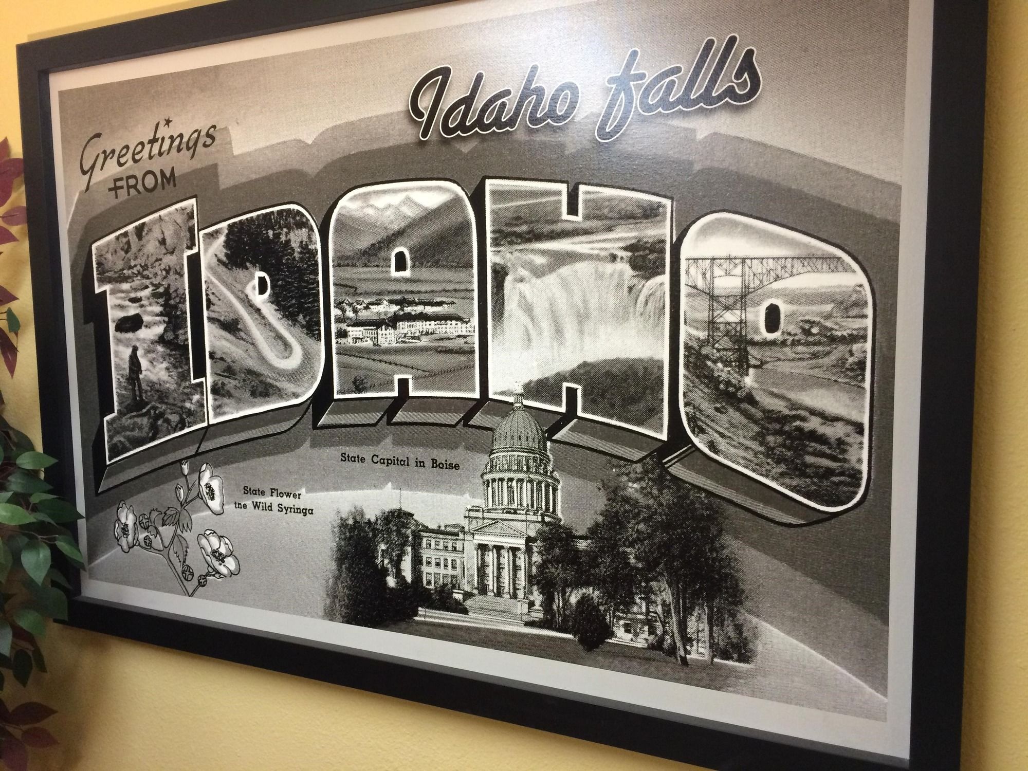 Фото Super 8 by Wyndham Idaho Falls