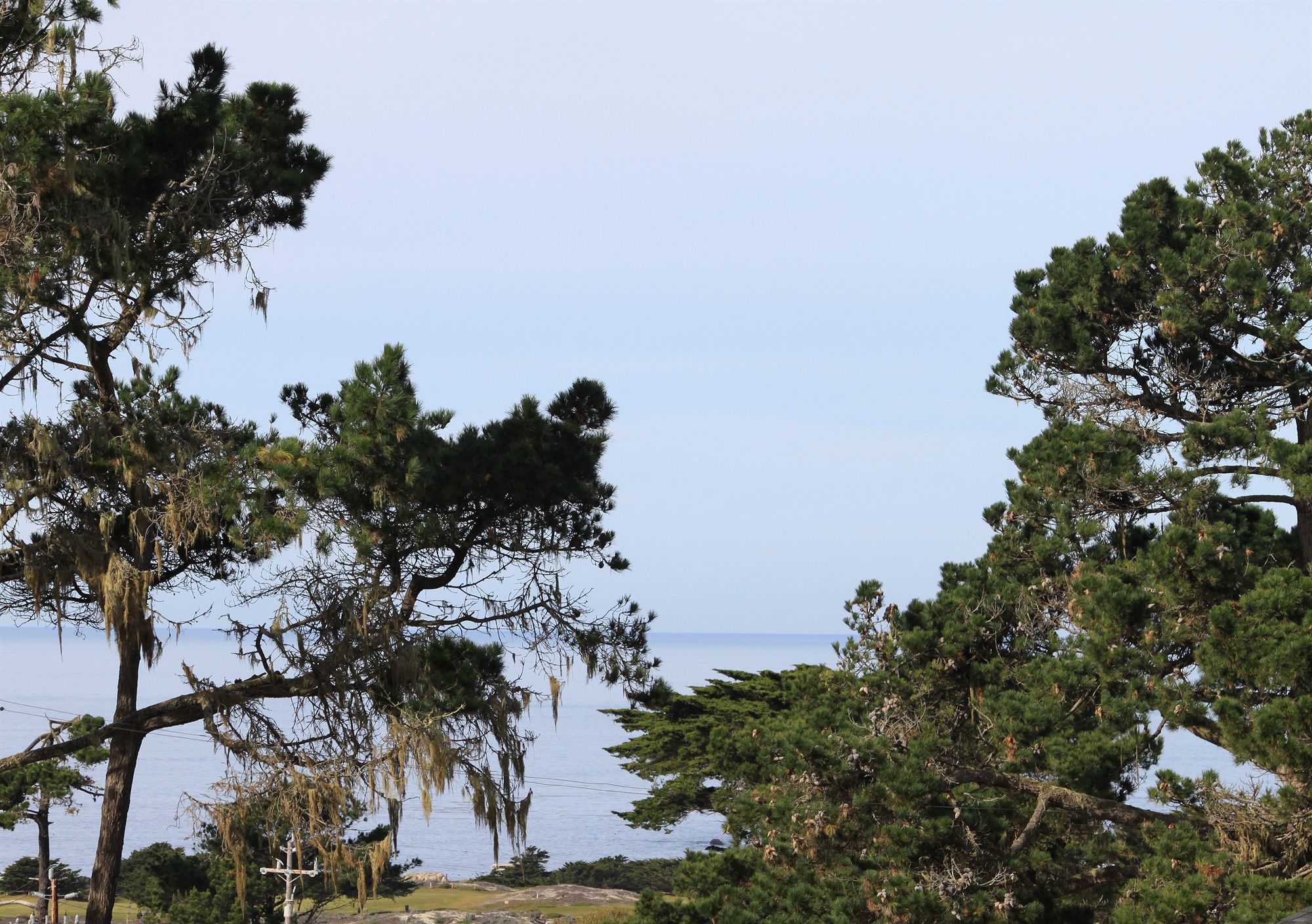 Фото Olympia Lodge