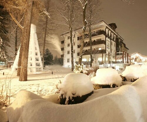 Гостиница Miramonti Park Hotel в Бормио
