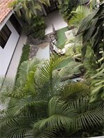 Фото Villa Victoria