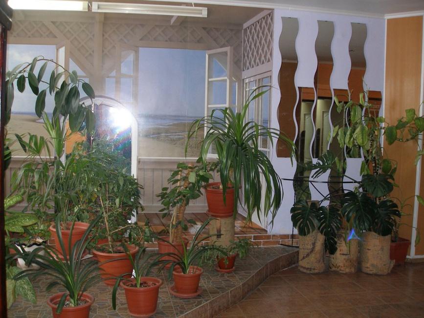 Фото Сезоны