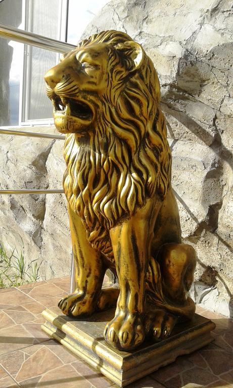 Фото Золотой Орел